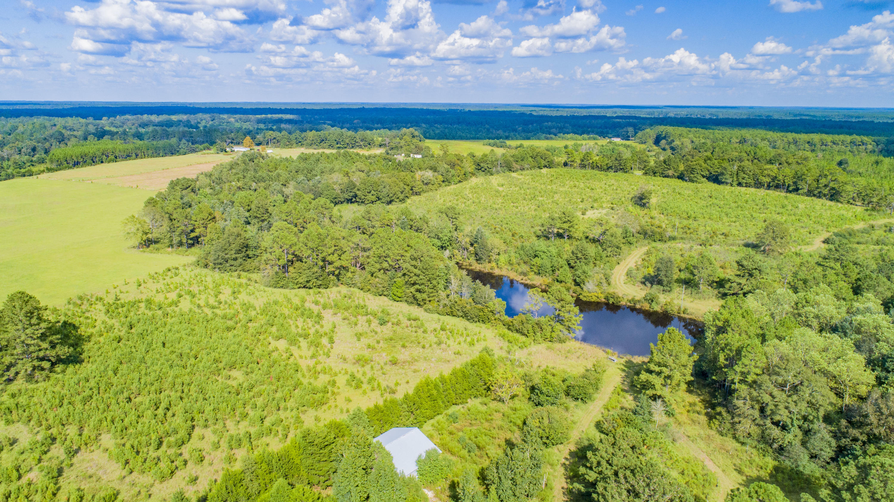 METES & BOUNDS - Farm