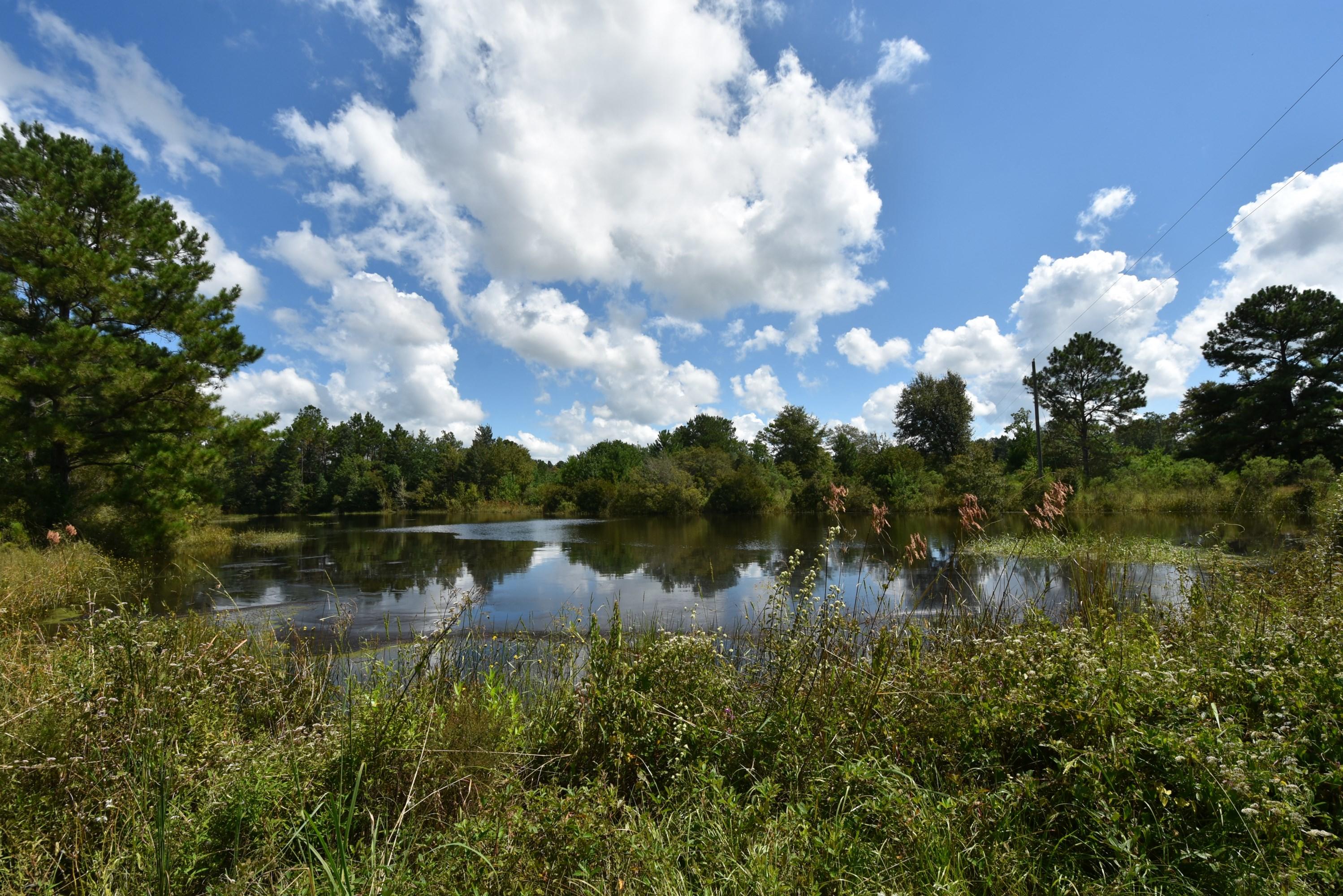 METES & BOUNDS - Farm