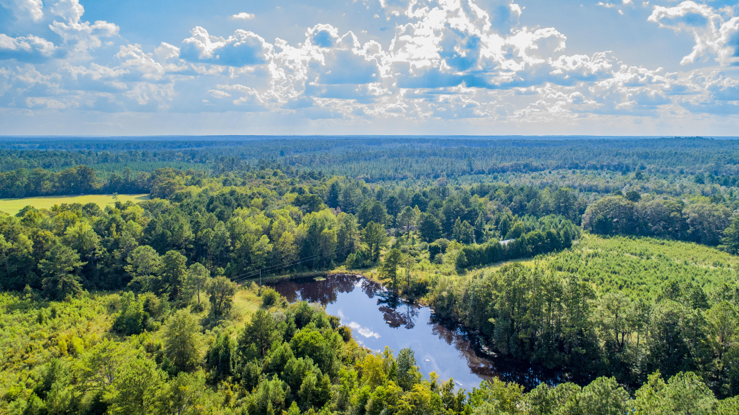 METES & BOUNDS - Farm