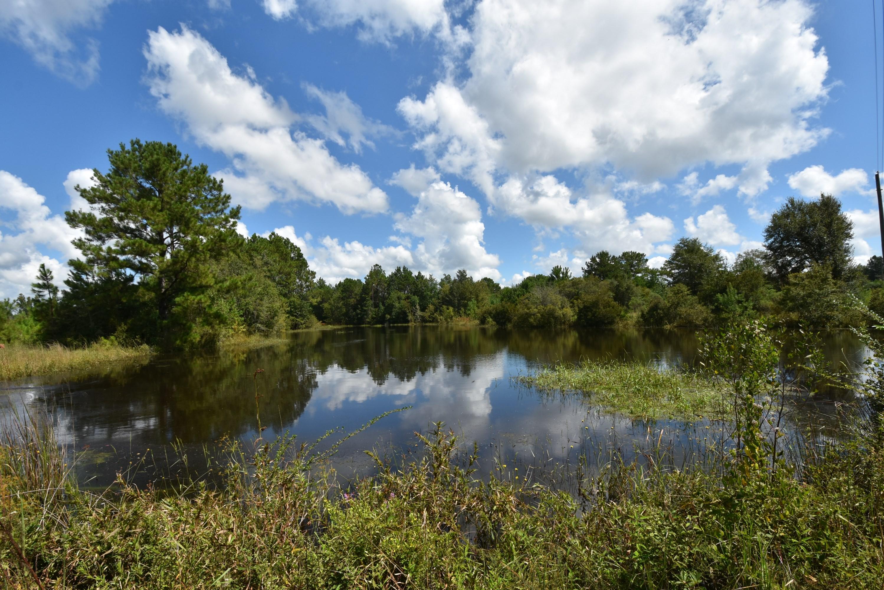 METES & BOUNDS - Farm