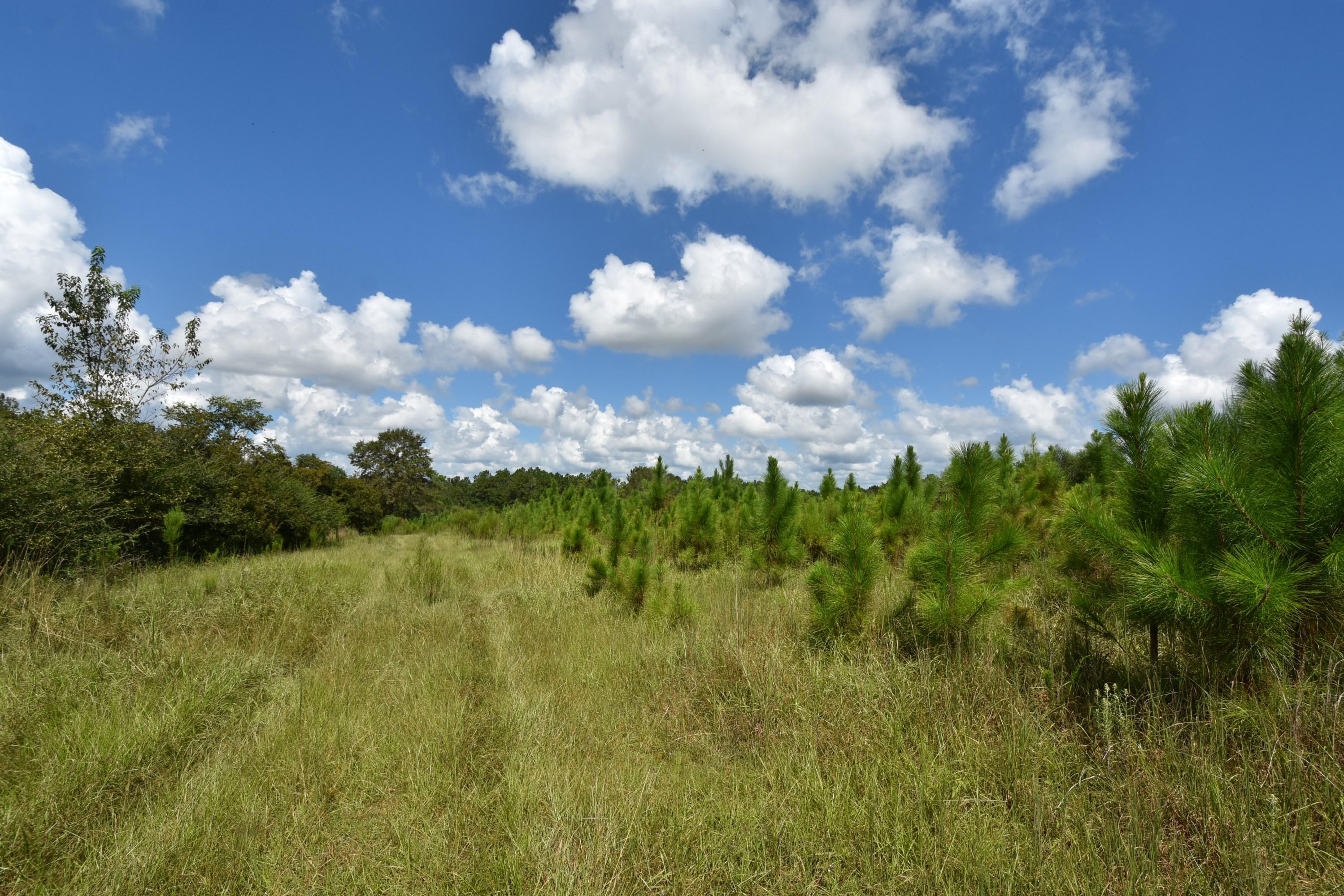 METES & BOUNDS - Farm