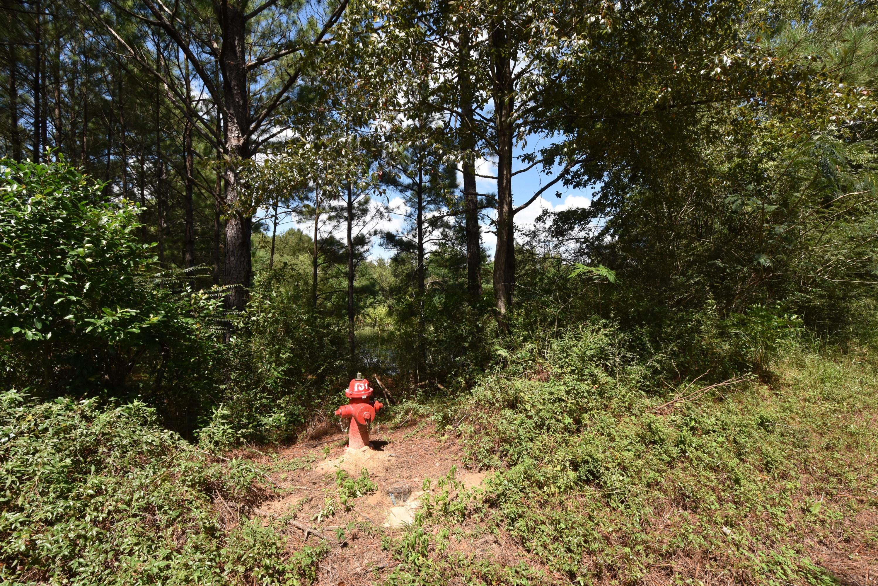 METES & BOUNDS - Farm