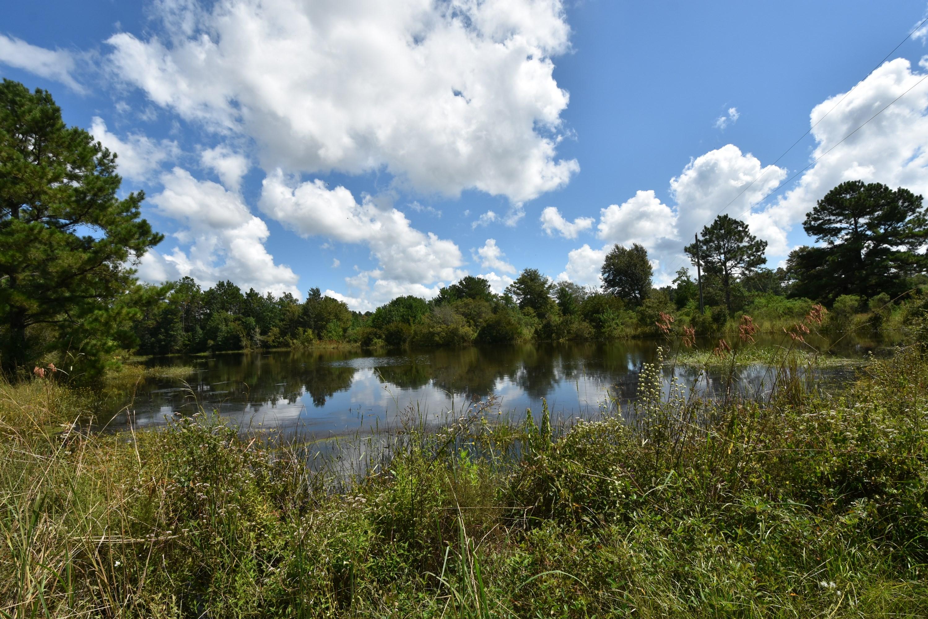 METES & BOUNDS - Farm