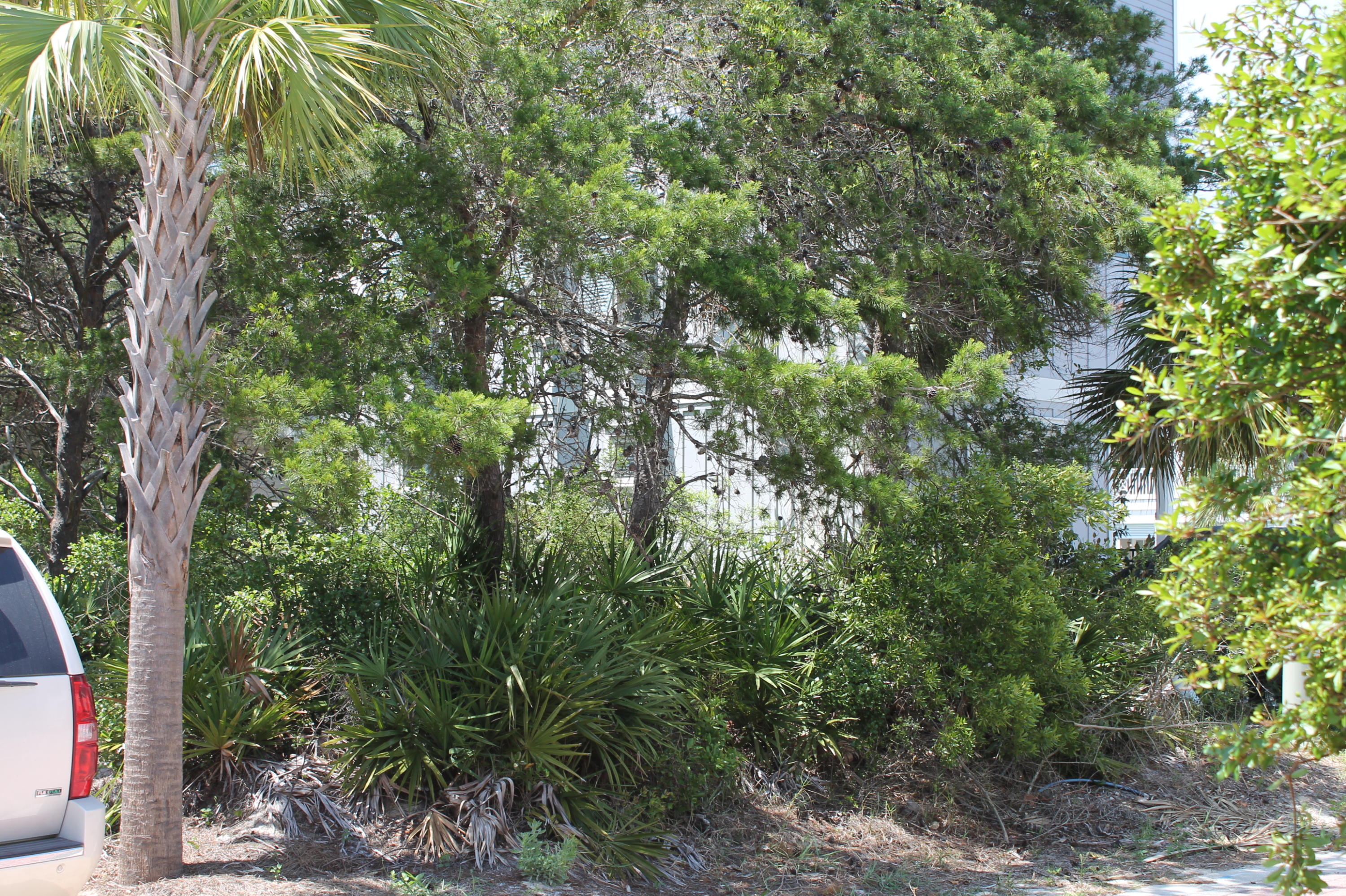 SEACREST BEACH PH 6 - Land