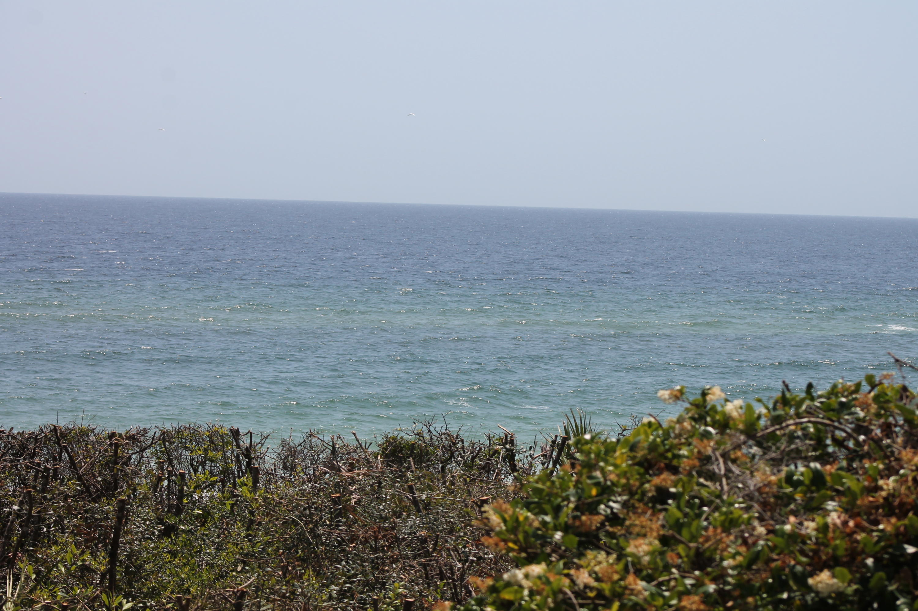 SEACREST BEACH PH 6 - Land