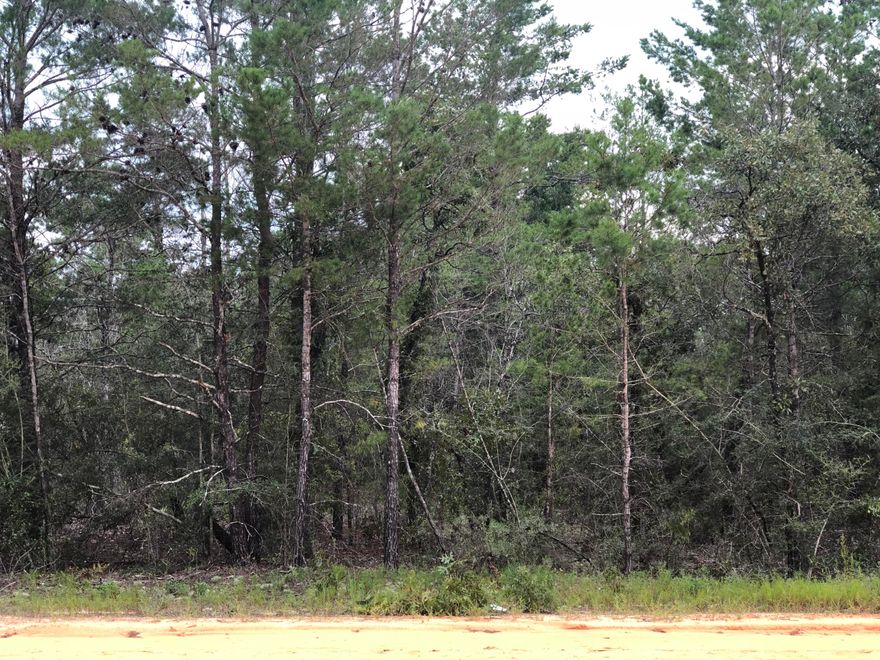 BACK ON MARKET! NO Fault of the seller. Come see this great lot in Oakwood Hills Subdivision. Not only is it in a great location to build your dream home and have a country setting it's not far from Historic Downtown Defuniak Springs, Crestview and Niceville.