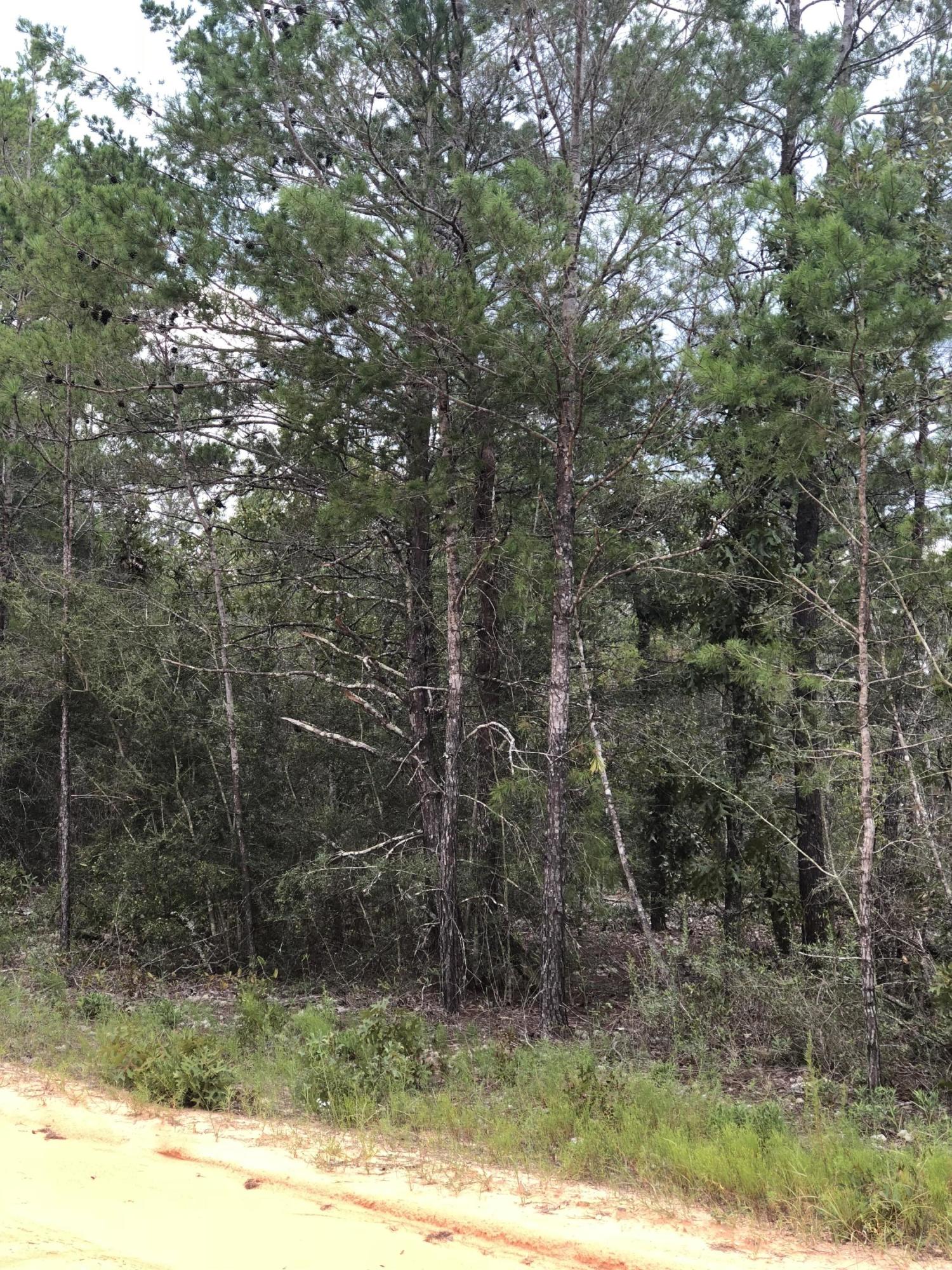 OAKWOOD HILLS UNIT 3 - Land