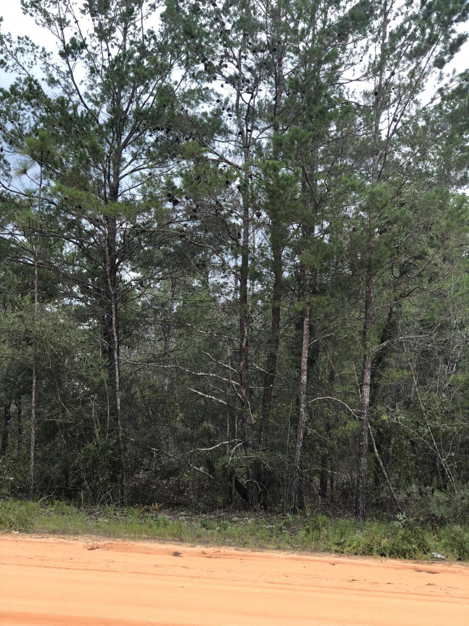 OAKWOOD HILLS UNIT 3 - Land