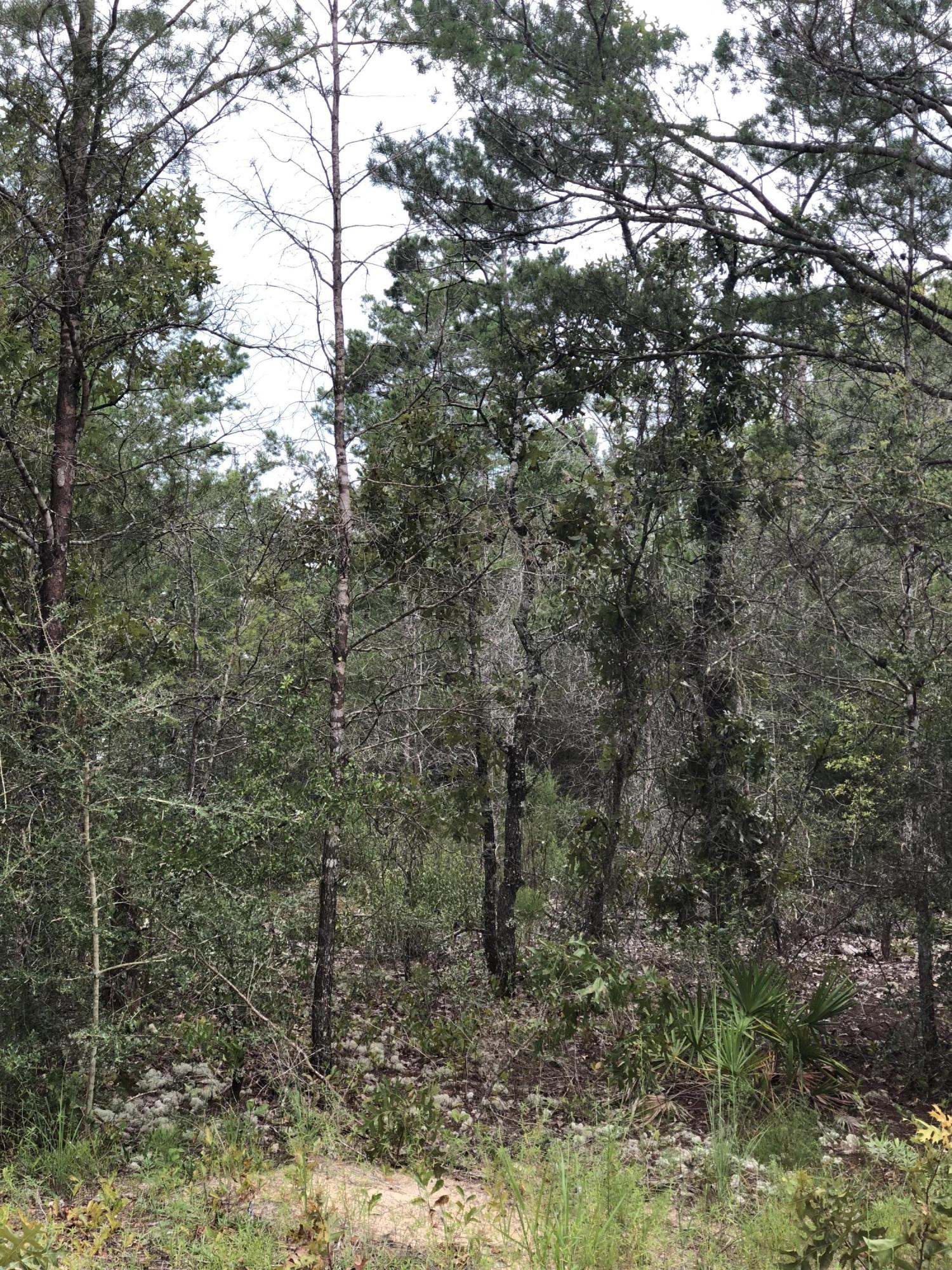 OAKWOOD HILLS UNIT 3 - Land