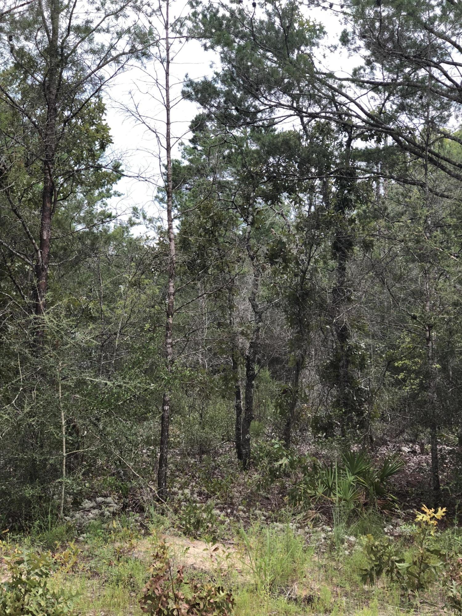 OAKWOOD HILLS UNIT 3 - Land