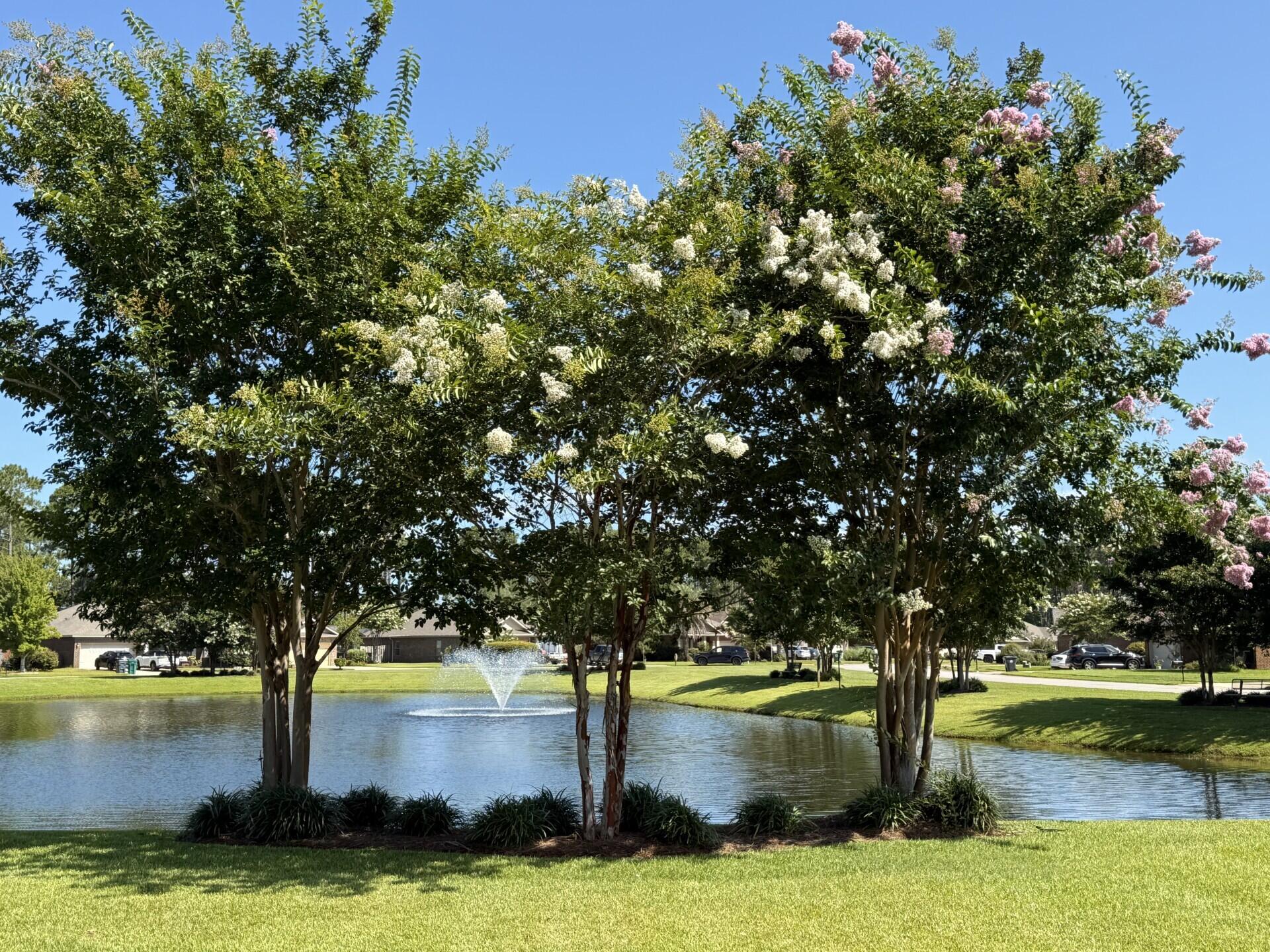 Driftwood Estates - Residential