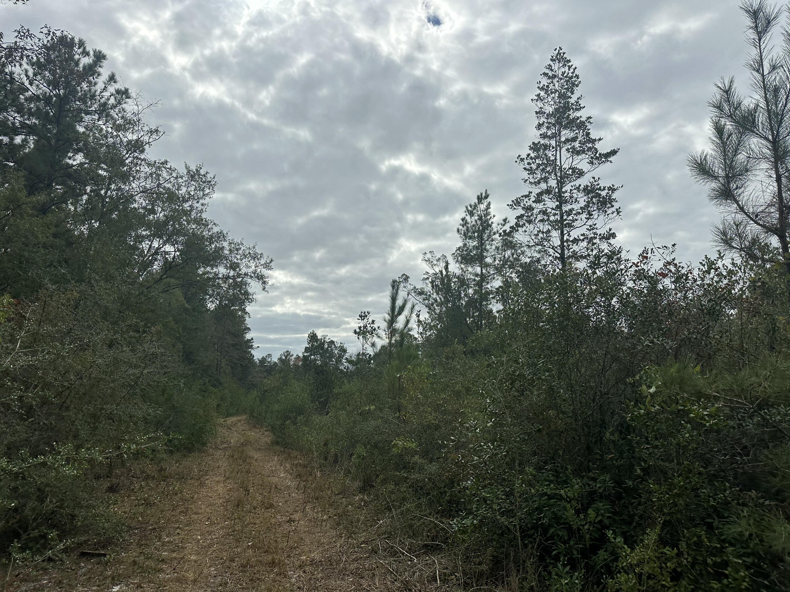 NO RECORDED SUBDIVISION - Farm