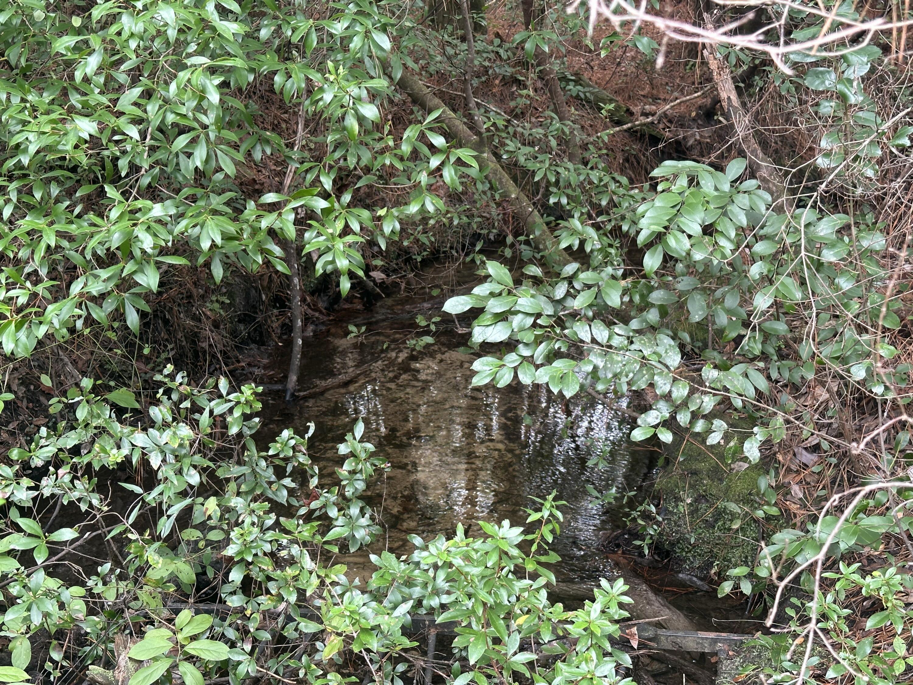 NO RECORDED SUBDIVISION - Farm