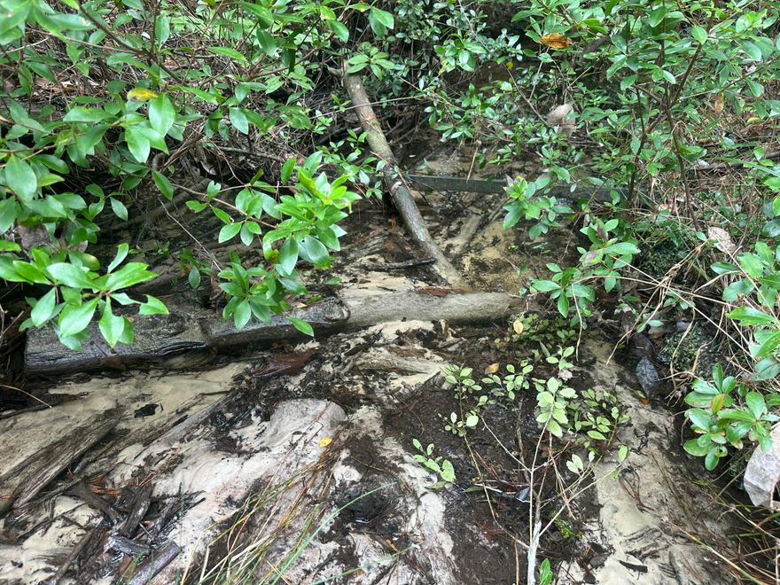 Discover an exceptional opportunity to own 41 +/- acres of pristine land nestled in the sought-after Auburn Garden City sub-area of Crestview, Florida. Located on Turkey Track Street, this expansive parcel offers a rare blend of privacy and accessibility, making it ideal for a variety of potential uses. Enjoy your privacy while still being in the vicinity of Shopping, Dinning, and all that Crestview has to offer.