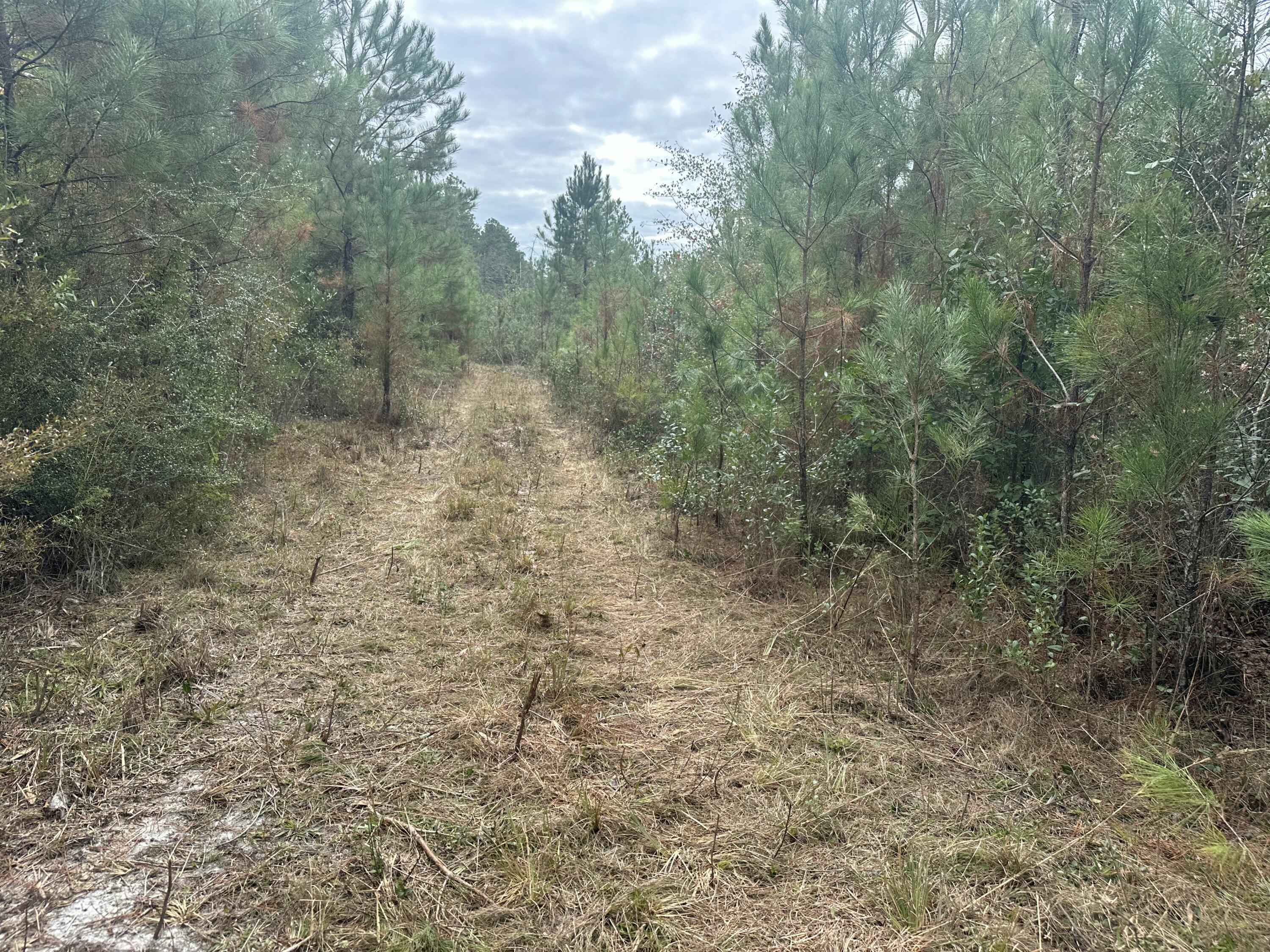 NO RECORDED SUBDIVISION - Farm