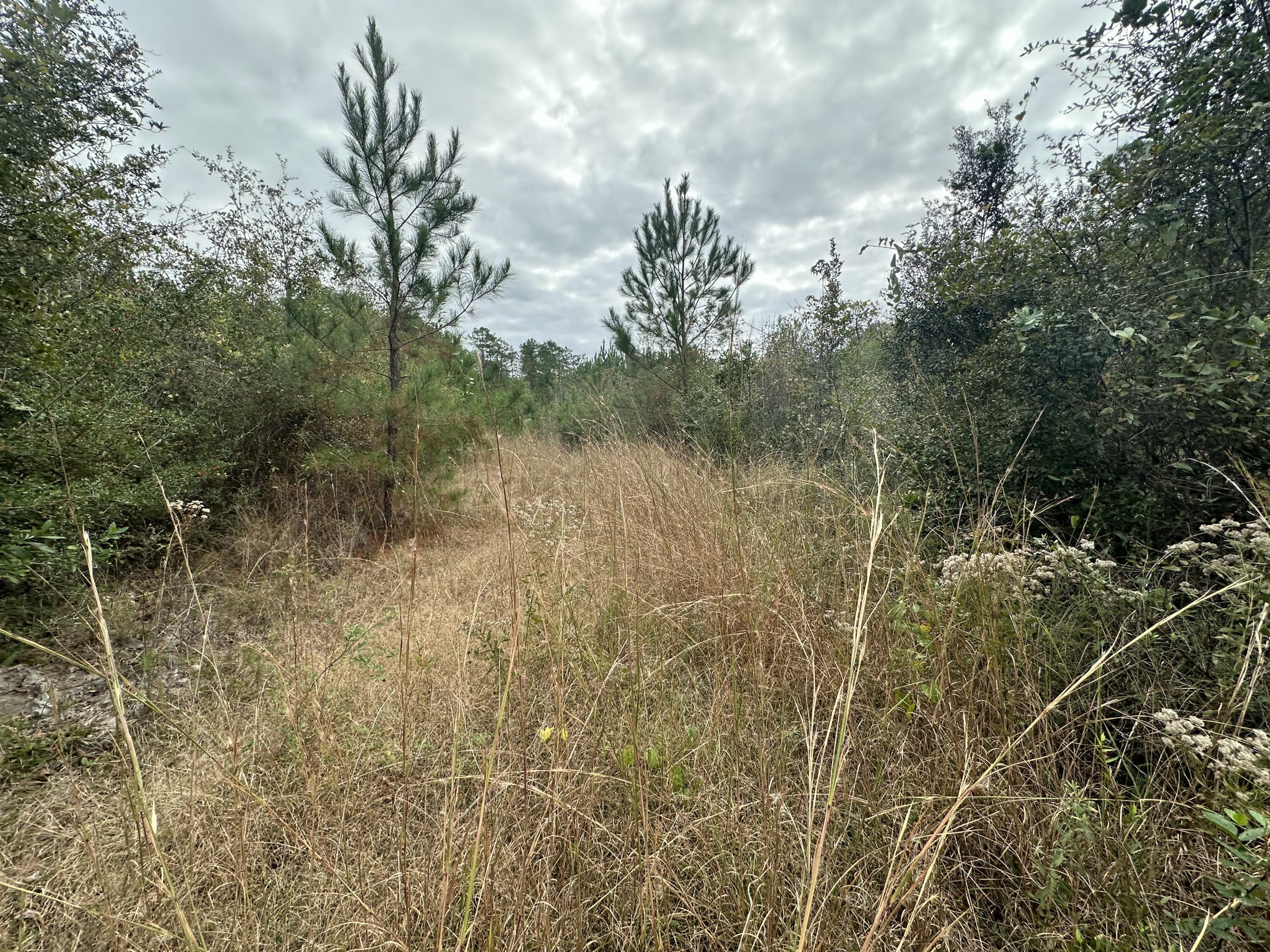 NO RECORDED SUBDIVISION - Farm