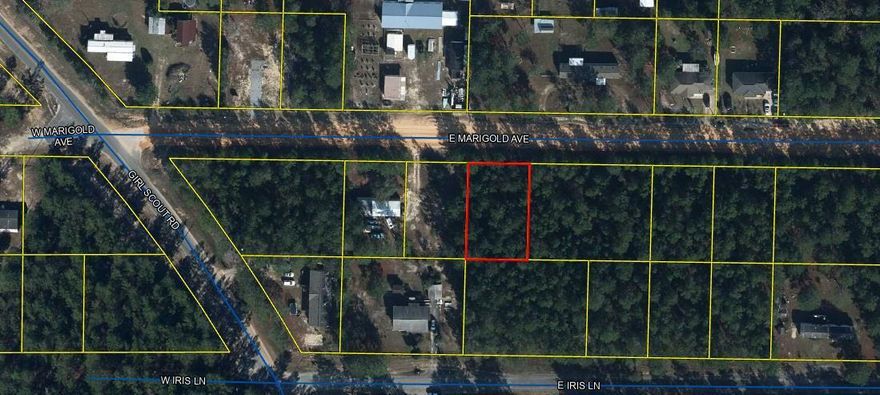 Nice, wooded lot between DeFuniak Springs FL and Mossyhead. No HOA. Minimal Restrictions. Modular homes allowed. There are no existing utilities.  Easy access to the I-10 and CR 285 south making it a great location. This property is approx. 30-45 mins to most workplaces as well as the beautiful white sandy beaches of Florida's Emerald Gulf Coast and Crab Island. Buyer needs to verify building codes, zoning regulations, wetlands, flood zones and measurements with proper local authorities to ensure buyer will be able to utilize the property for intended use.
