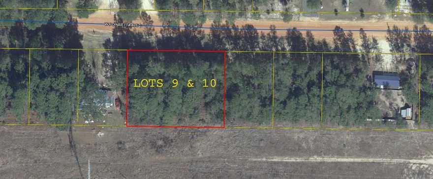 Nice buildable lot in fast growing Mossy Head. Could also be a weekend get away, as it adjoins a power line easement for 2 and 4 wheel activities. Great location convenient to DeFuniak Springs, Crestview, Eglin Air Force Base and the beaches of South Walton.