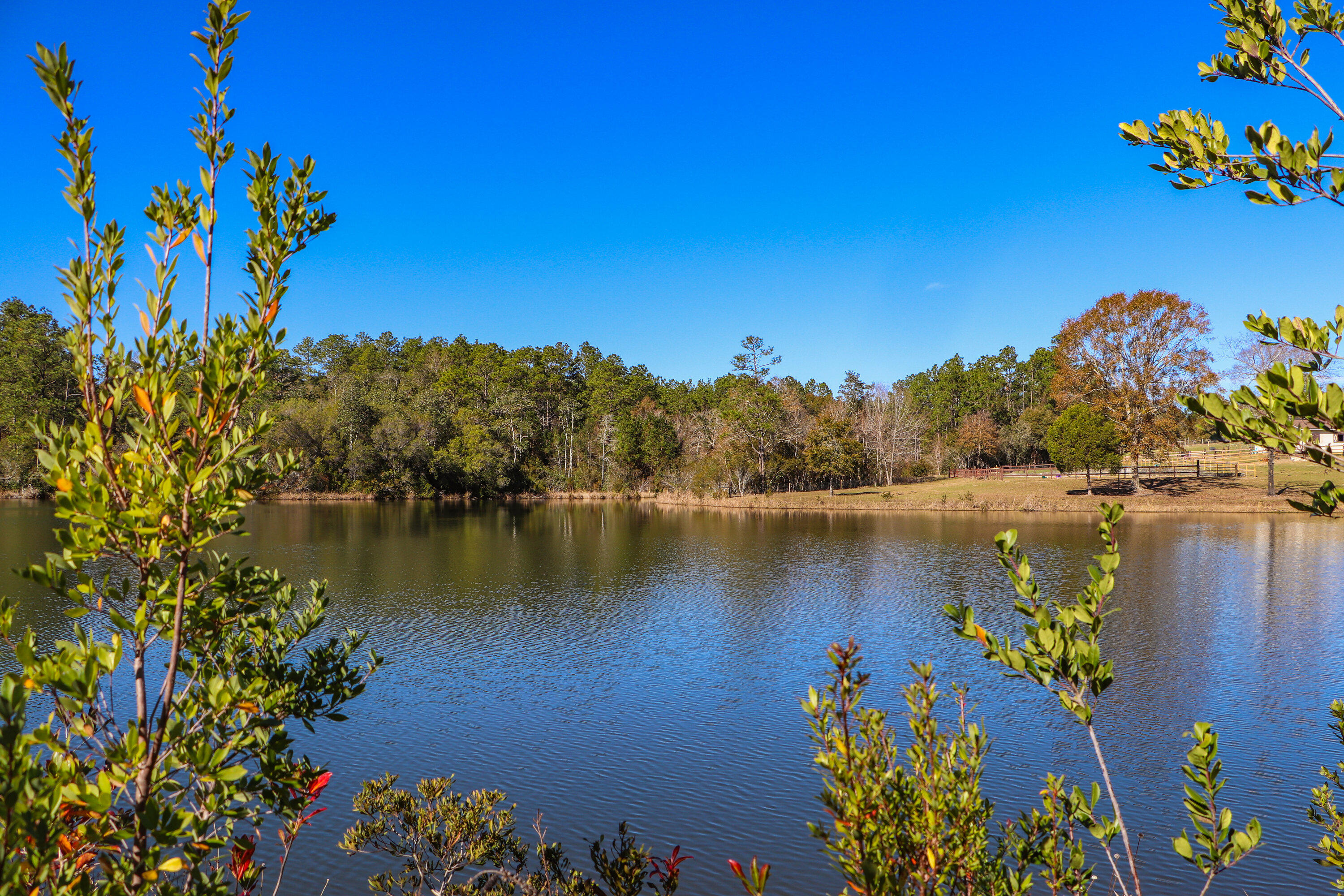 Kennedy Lakes - Land