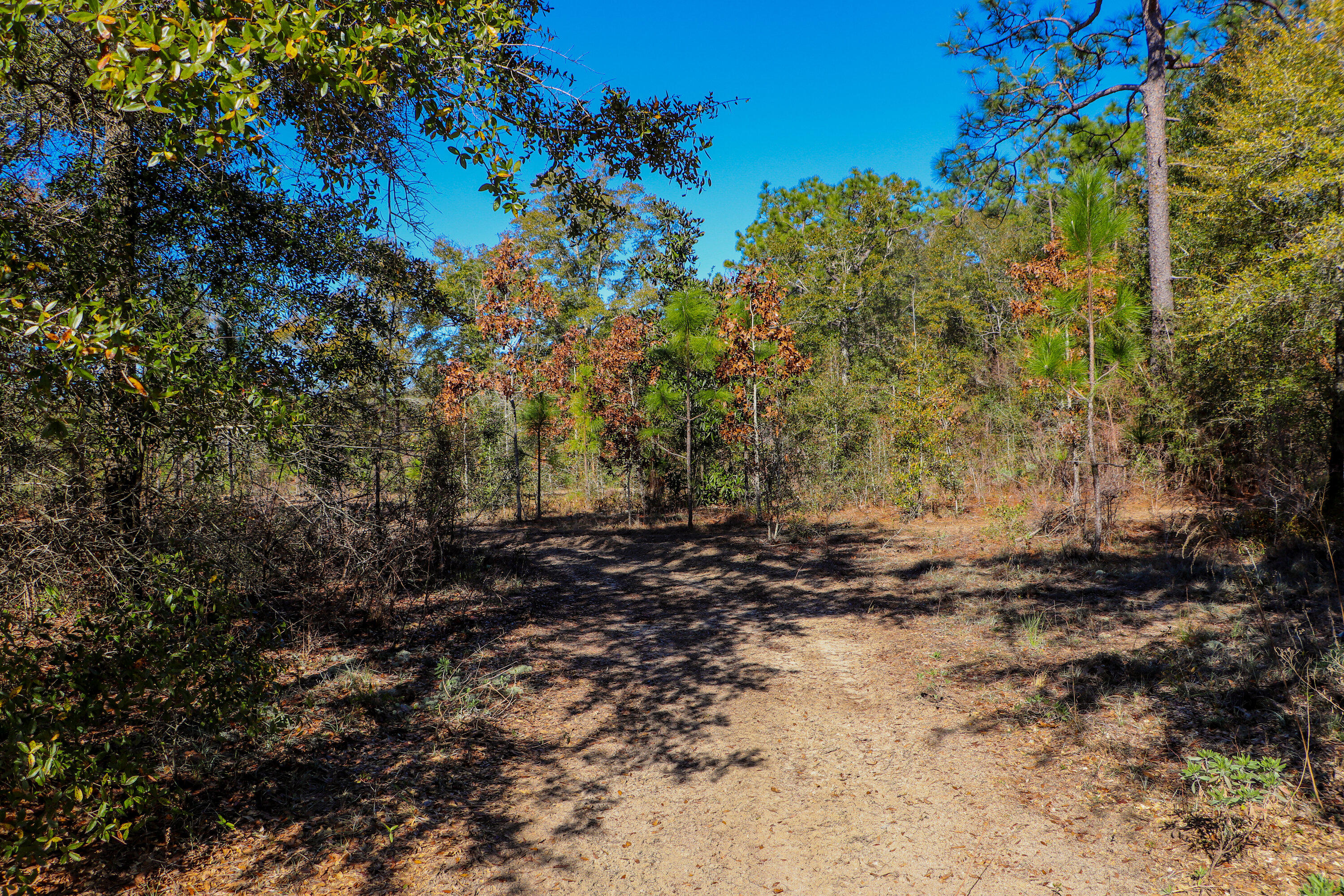 Kennedy Lakes - Land