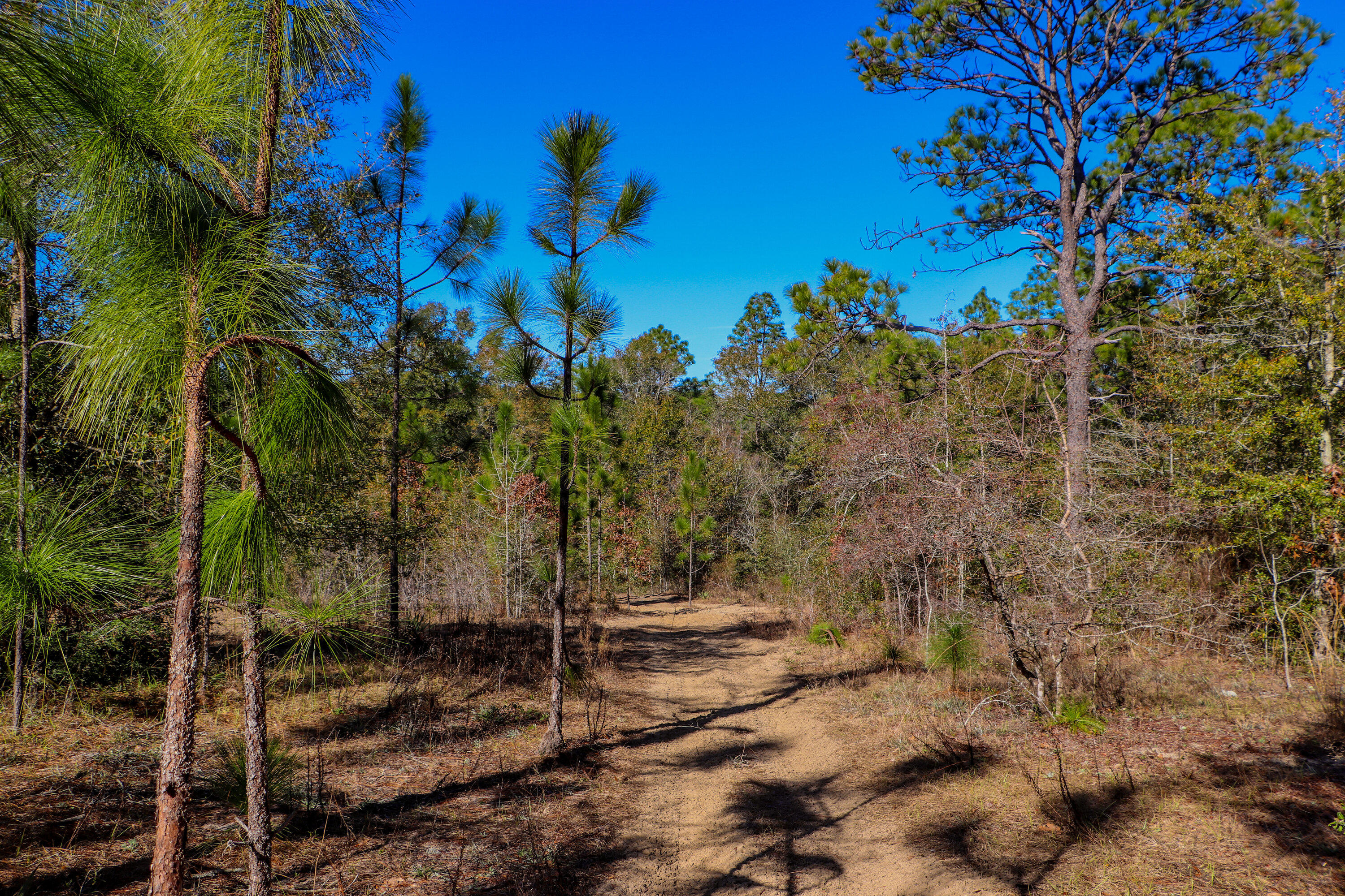 Kennedy Lakes - Land