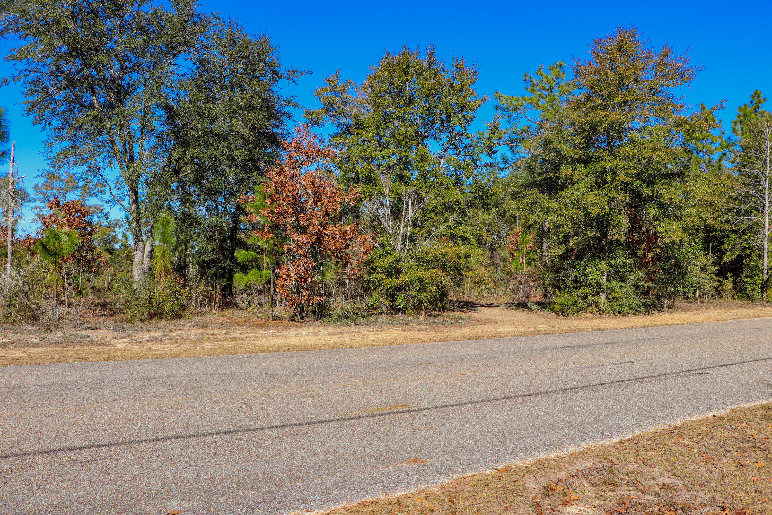 Kennedy Lakes - Land