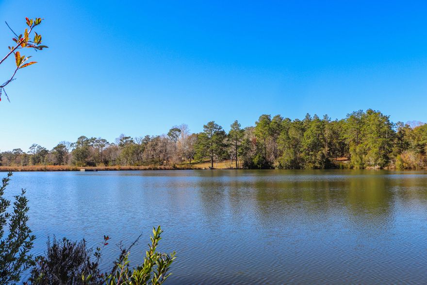 Large 3.163 Acre lot on the Waterfront with a combined total of 3.72 Acres including the Riparian Rights. Located right on a Lake, you can bring your house plans and build your Dream home in the secluded yet established neighborhood. Also has a small Fresh Water Spring that trickles down into the lake constantly; located in the NW corner of the lot.