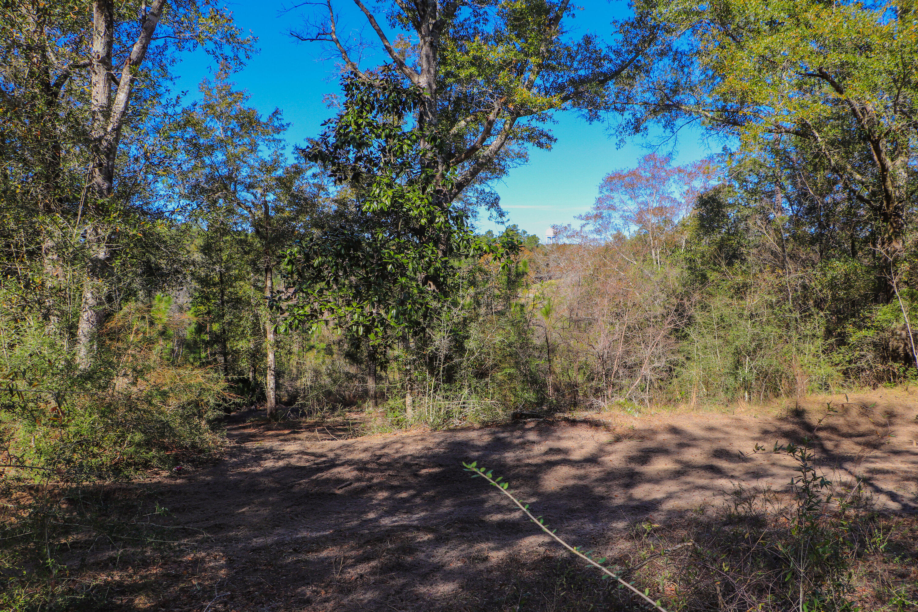 Kennedy Lakes - Land