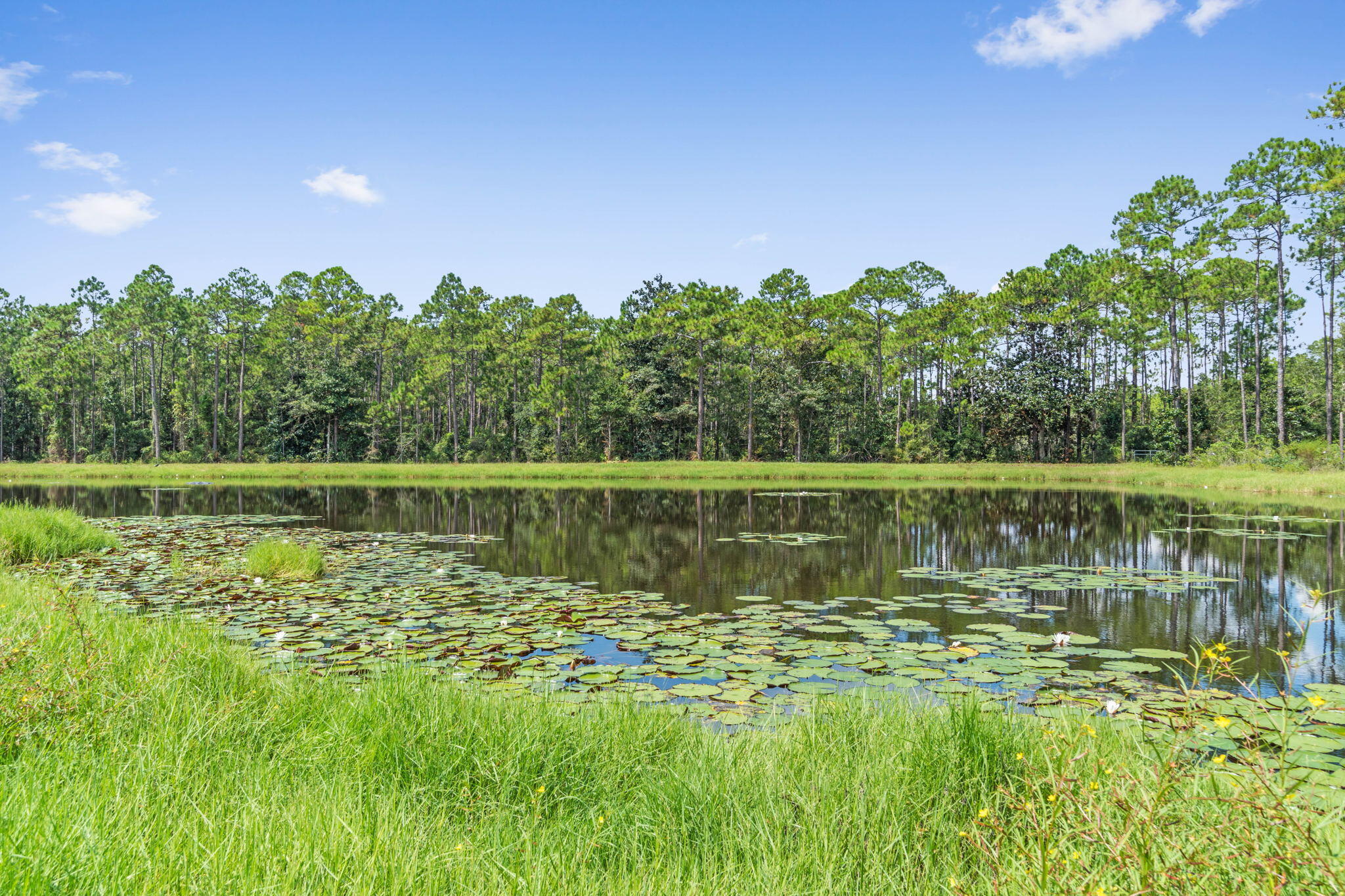 Indian Cove - Residential