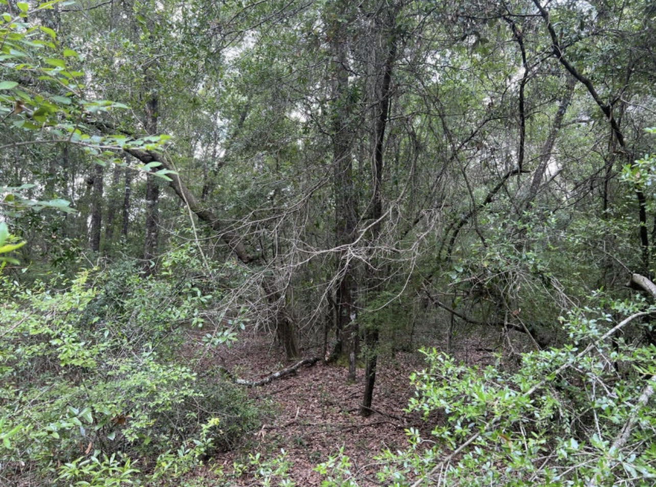 OAKWOOD HILLS UNIT 5 - Land