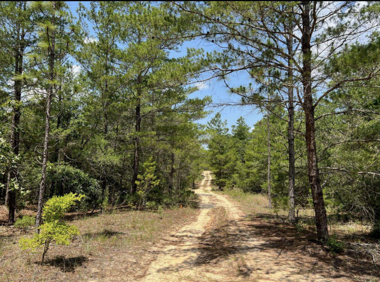 OAKWOOD HILLS UNIT 5 - Land