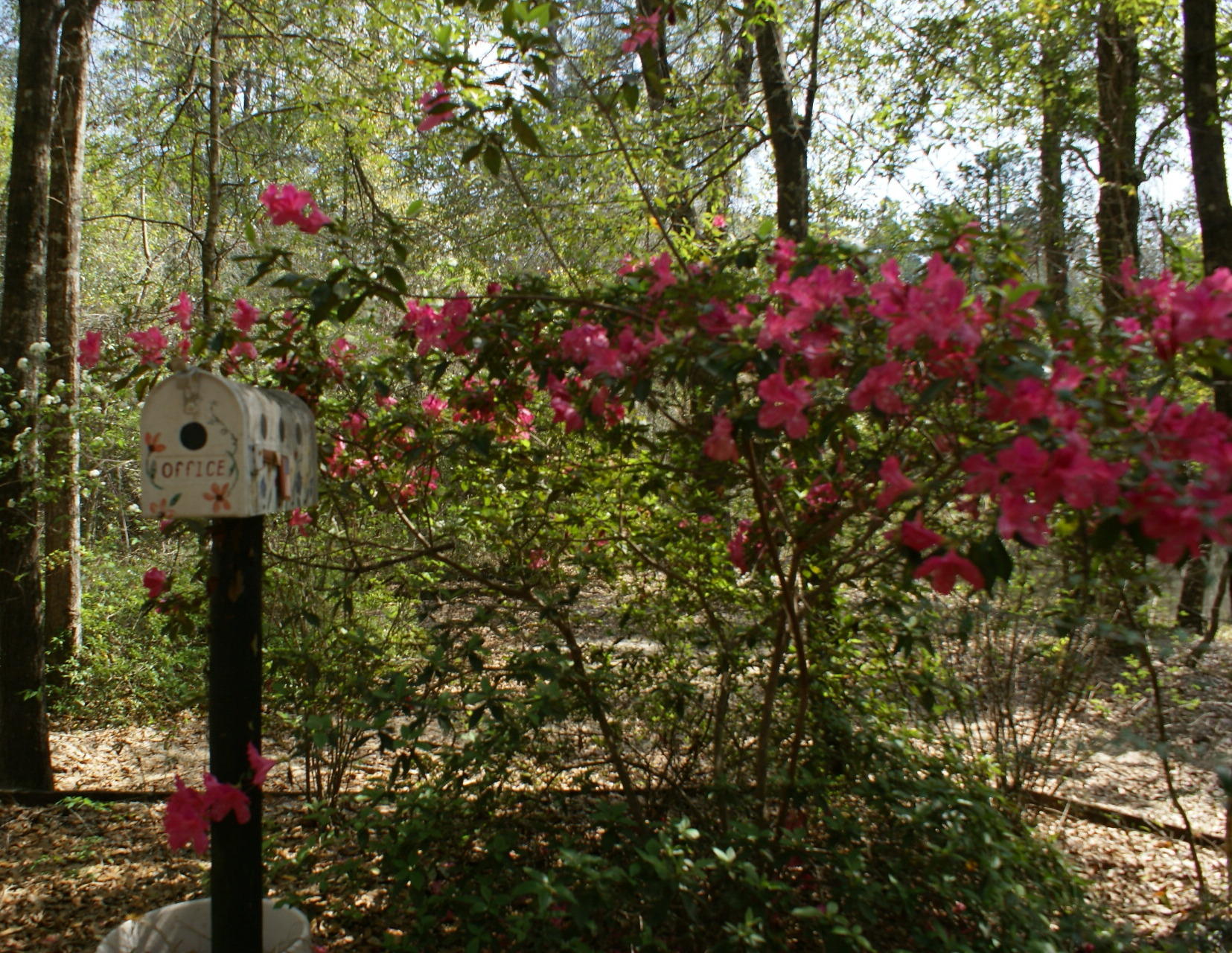 SUNDANCE WAY - Residential