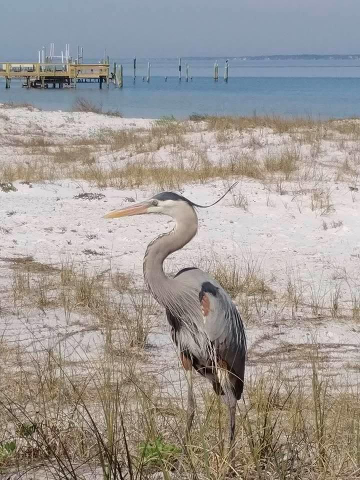 SUNSET HARBOR CONDO - Residential
