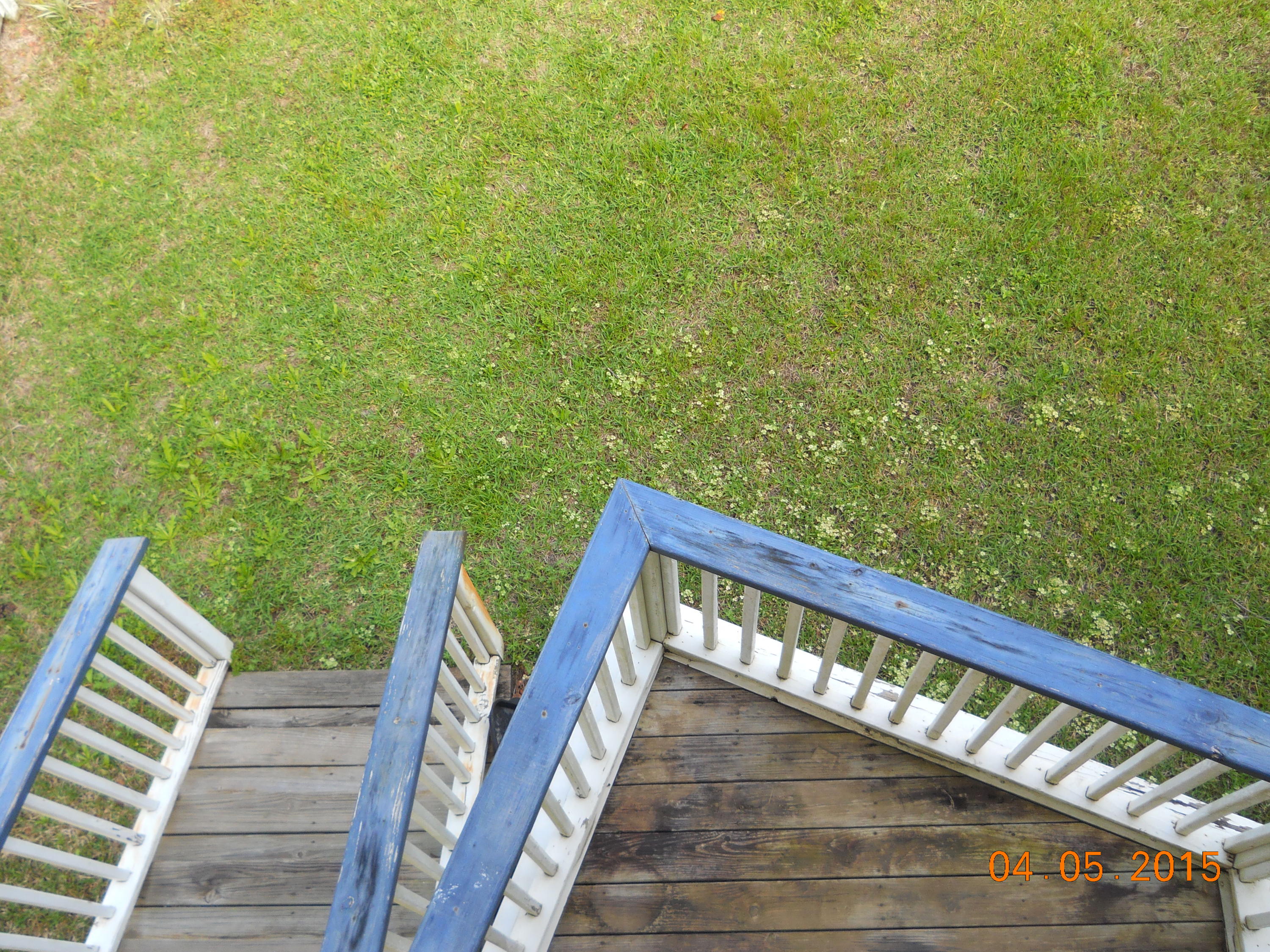 TOWN OF SANTA ROSA - Residential Lease