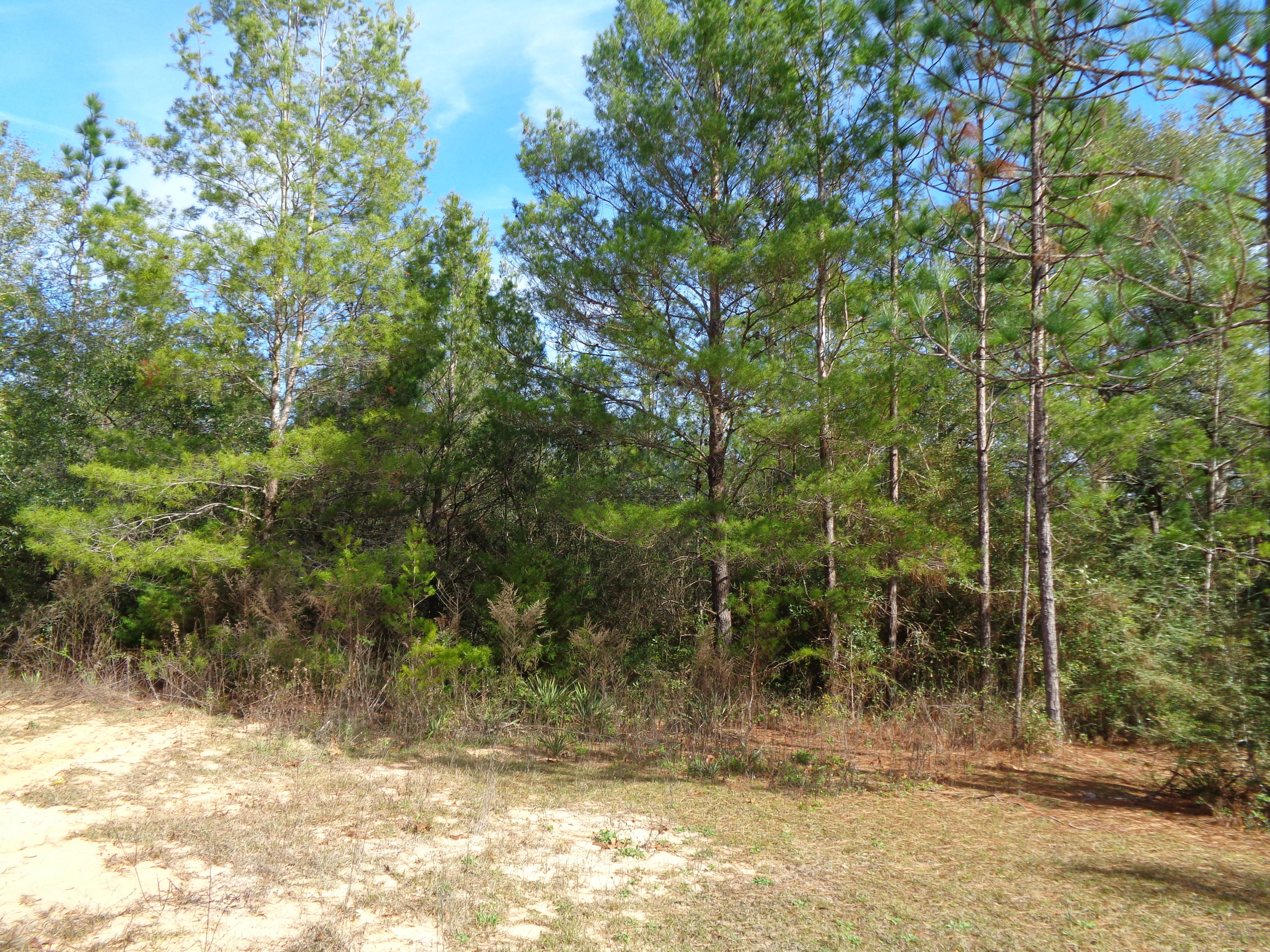 Wooded lot located West of DeFuniak Springs. Original plat shows a creek in the far NE corner. Seller has no knowledge. Lot is located on a county maintained road just off of a paved road.