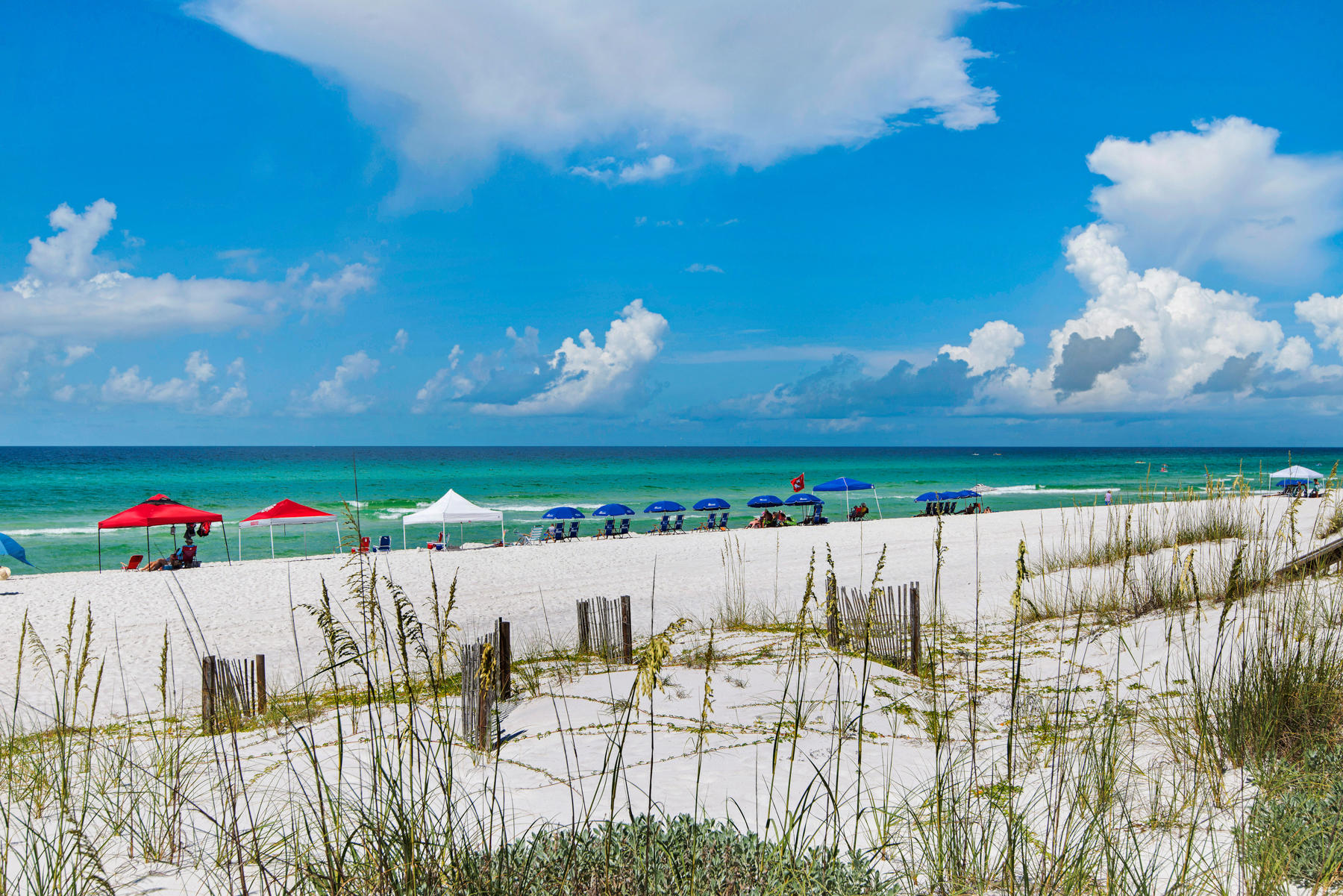 DUNES OF SEAGROVE - Residential