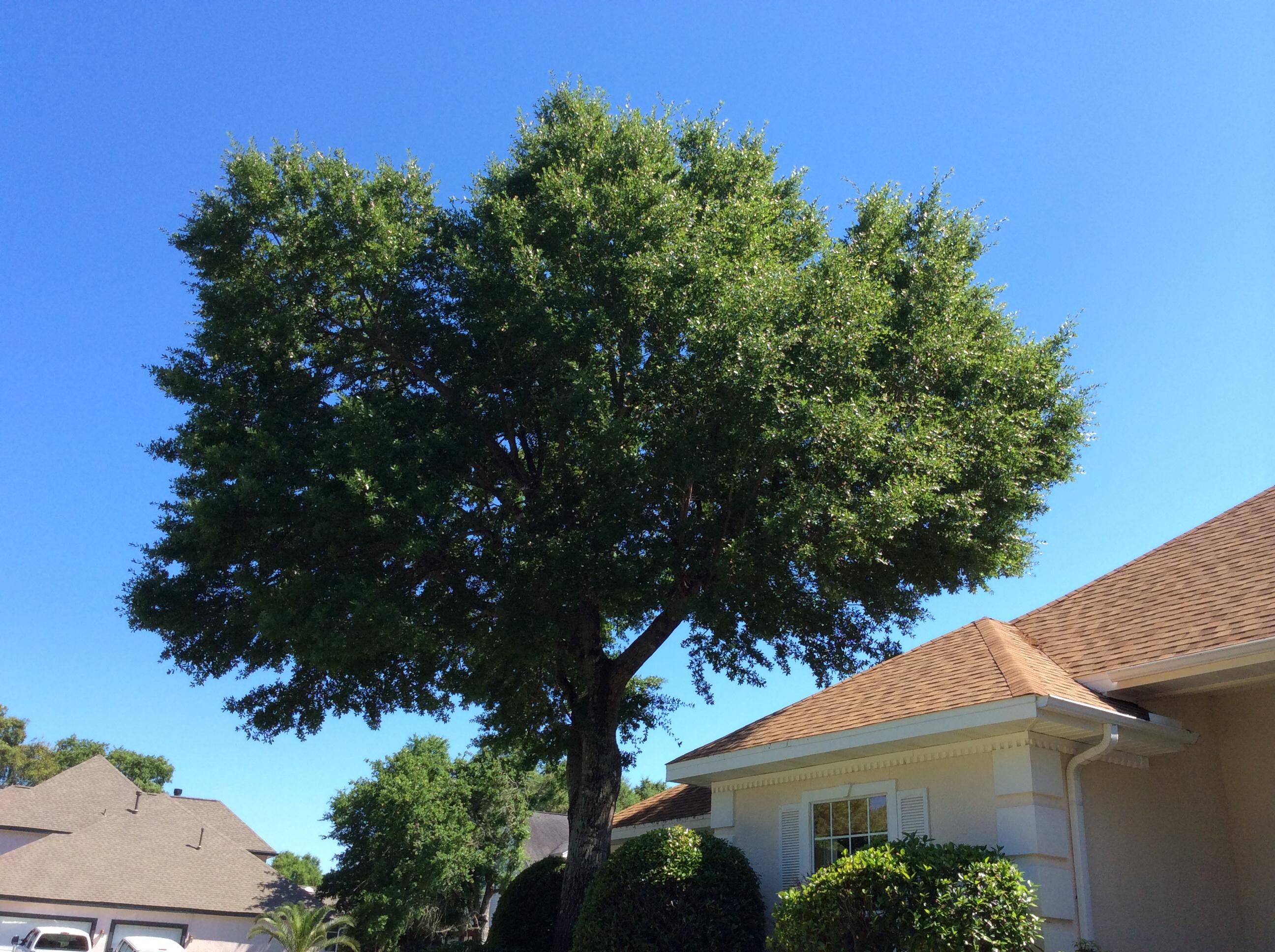 LAKE POINTE - Residential