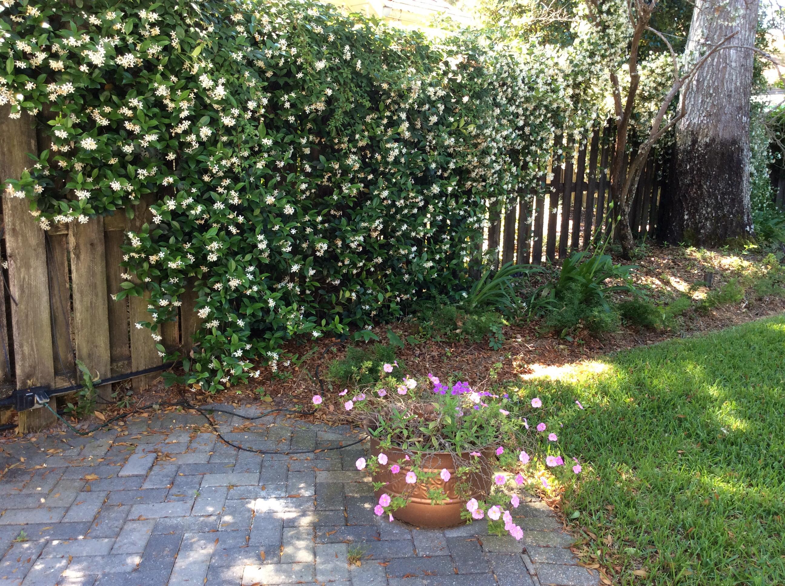 LAKE POINTE - Residential