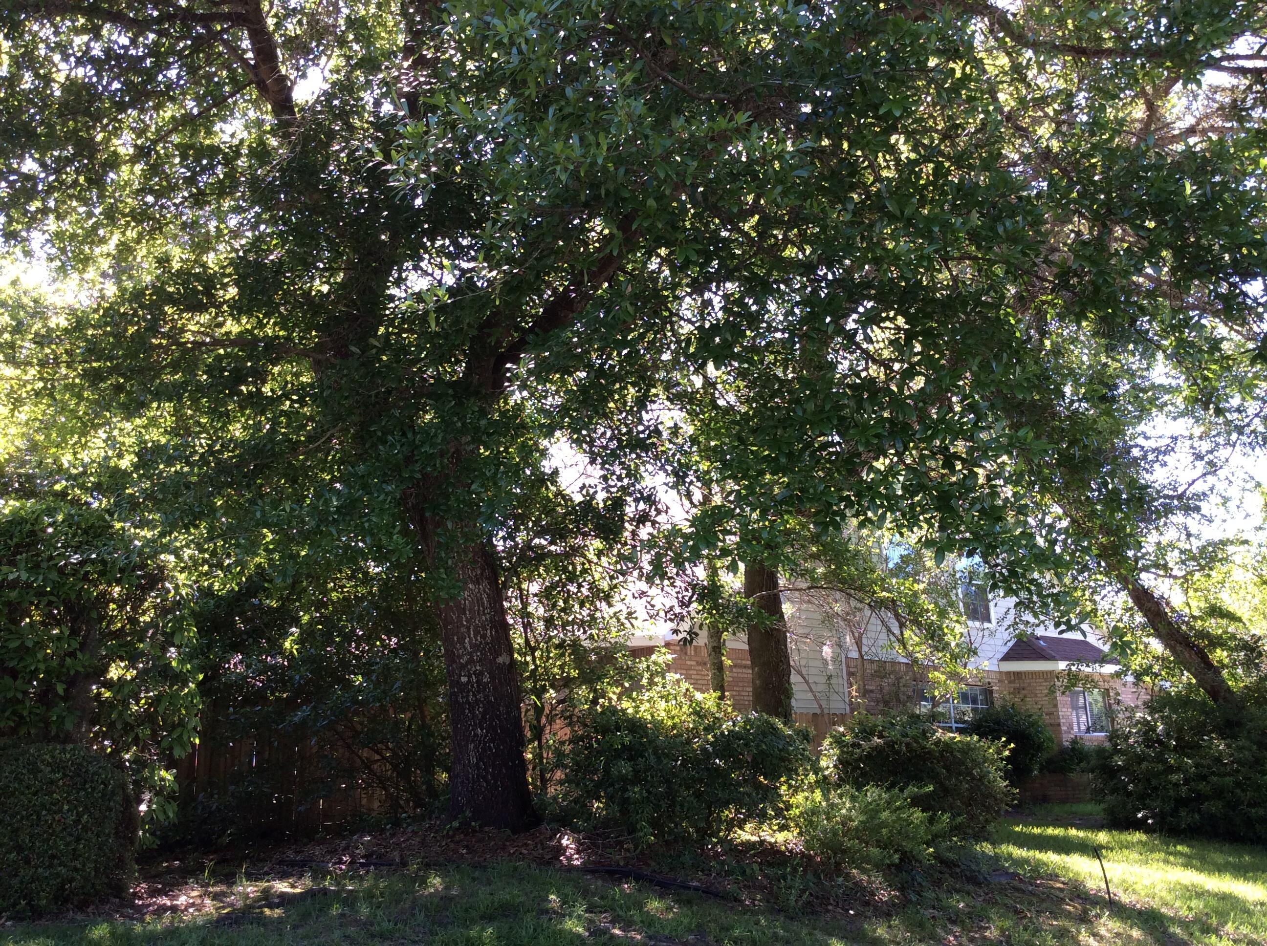 LAKE POINTE - Residential