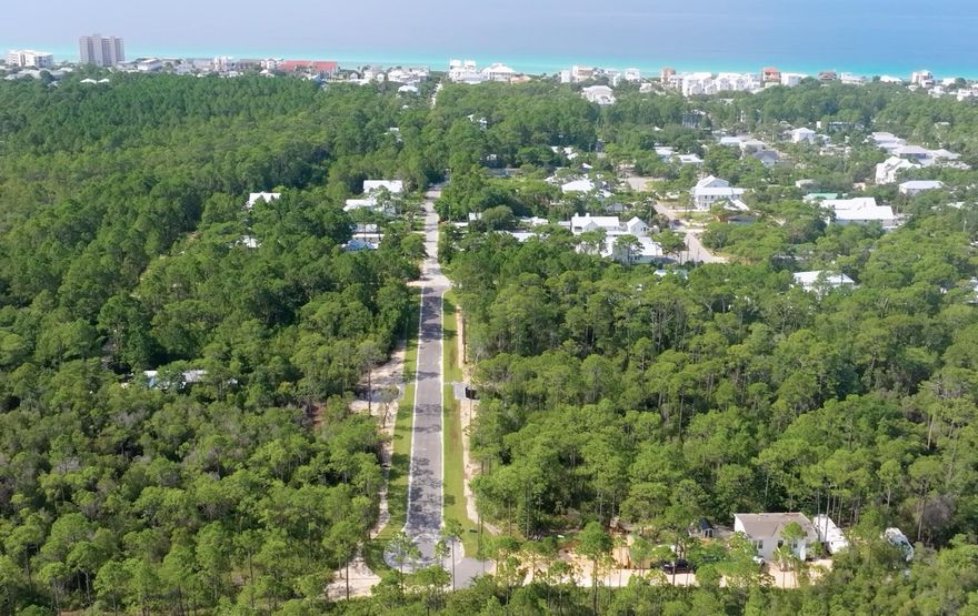 Come to the newly constructed Montigo Ave N and build your dream home on the beautiful neighborhood of Gulf Shore Manor on County Road 30A. No HOA fees and no restrictions on when to build. 5 deeded beach accesses and plenty of beach. All underground utilities on a beautiful wide avenue in a peaceful corner of the neighborhood just a golf cart ride minutes away from the hustle and bustle of 30A and Seaside, shopping and restaurants. These beautiful and spacious lots won't last long, so get yours while you can.