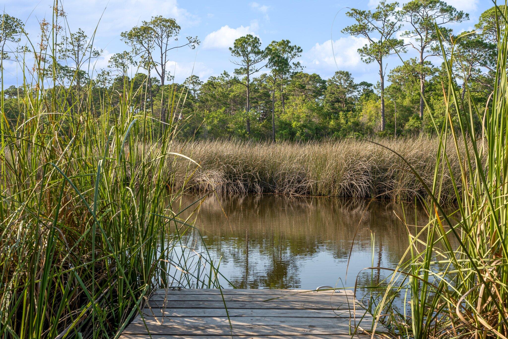 THE PRESERVE AT INLET BEACH - Residential