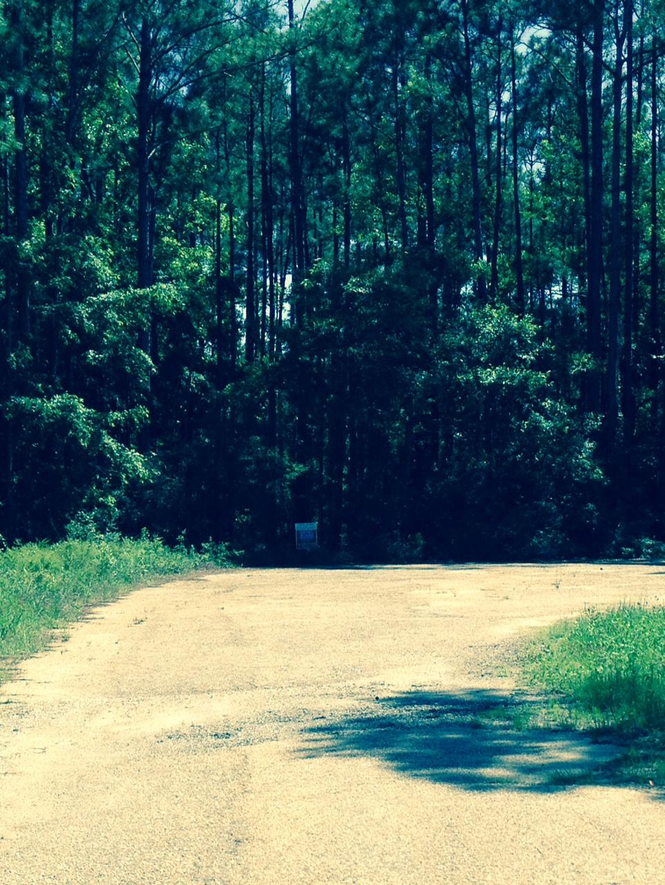 WHISPERING PINES - Land