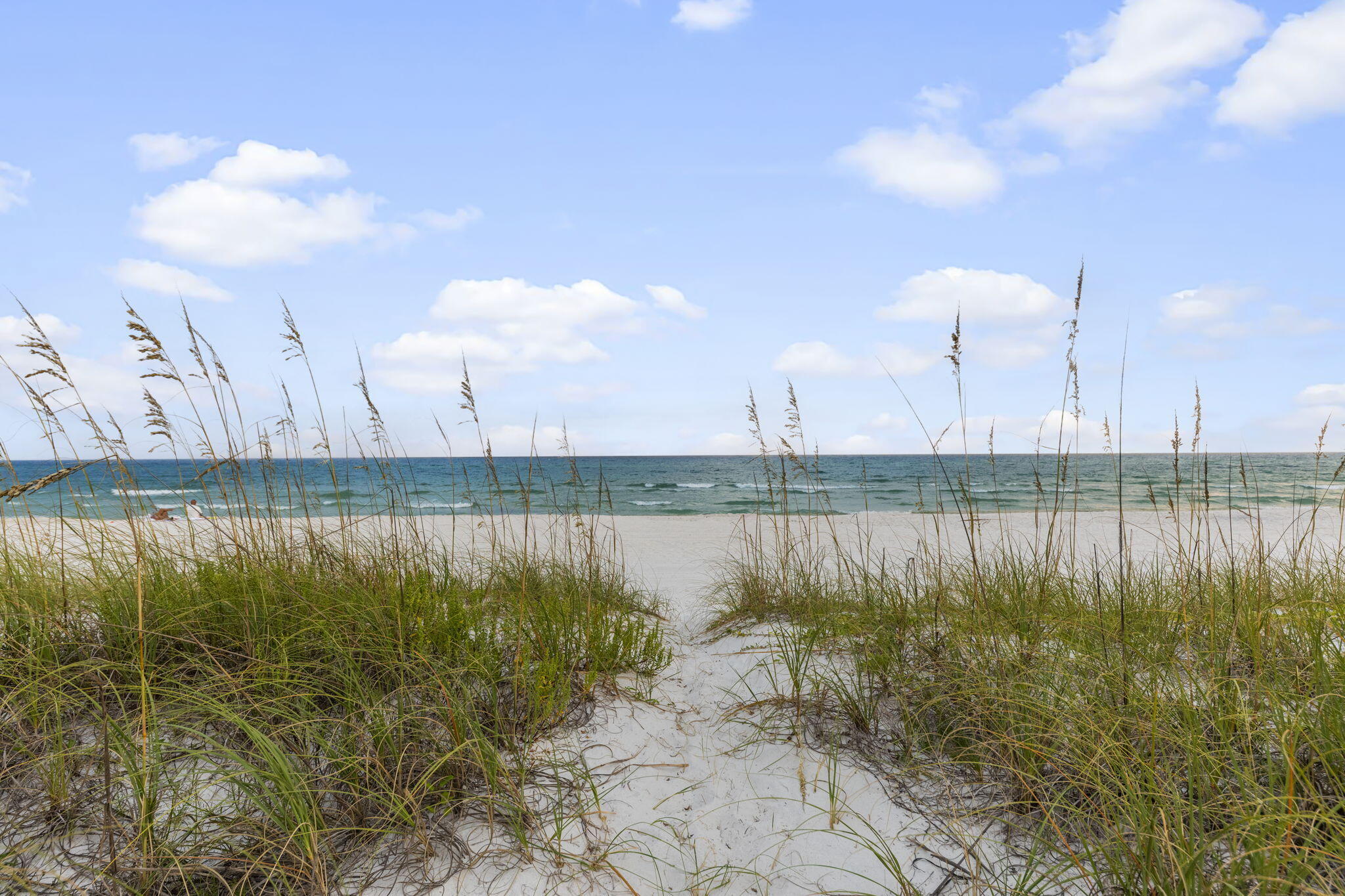 INLET BEACH - Residential