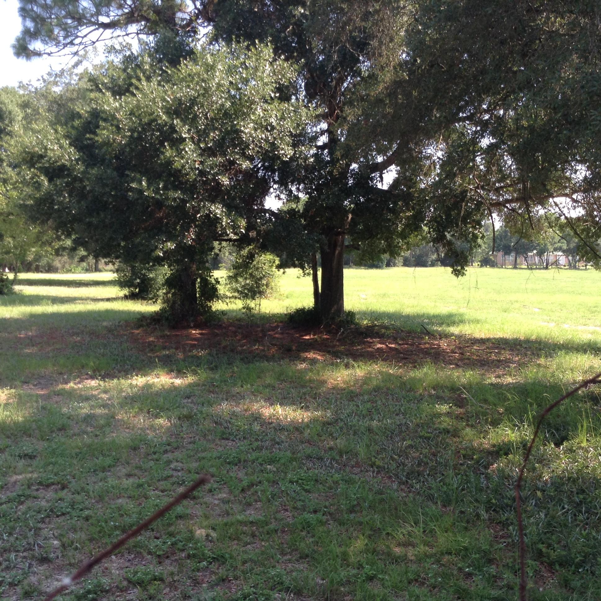 BEL-AIR S/D - Residential