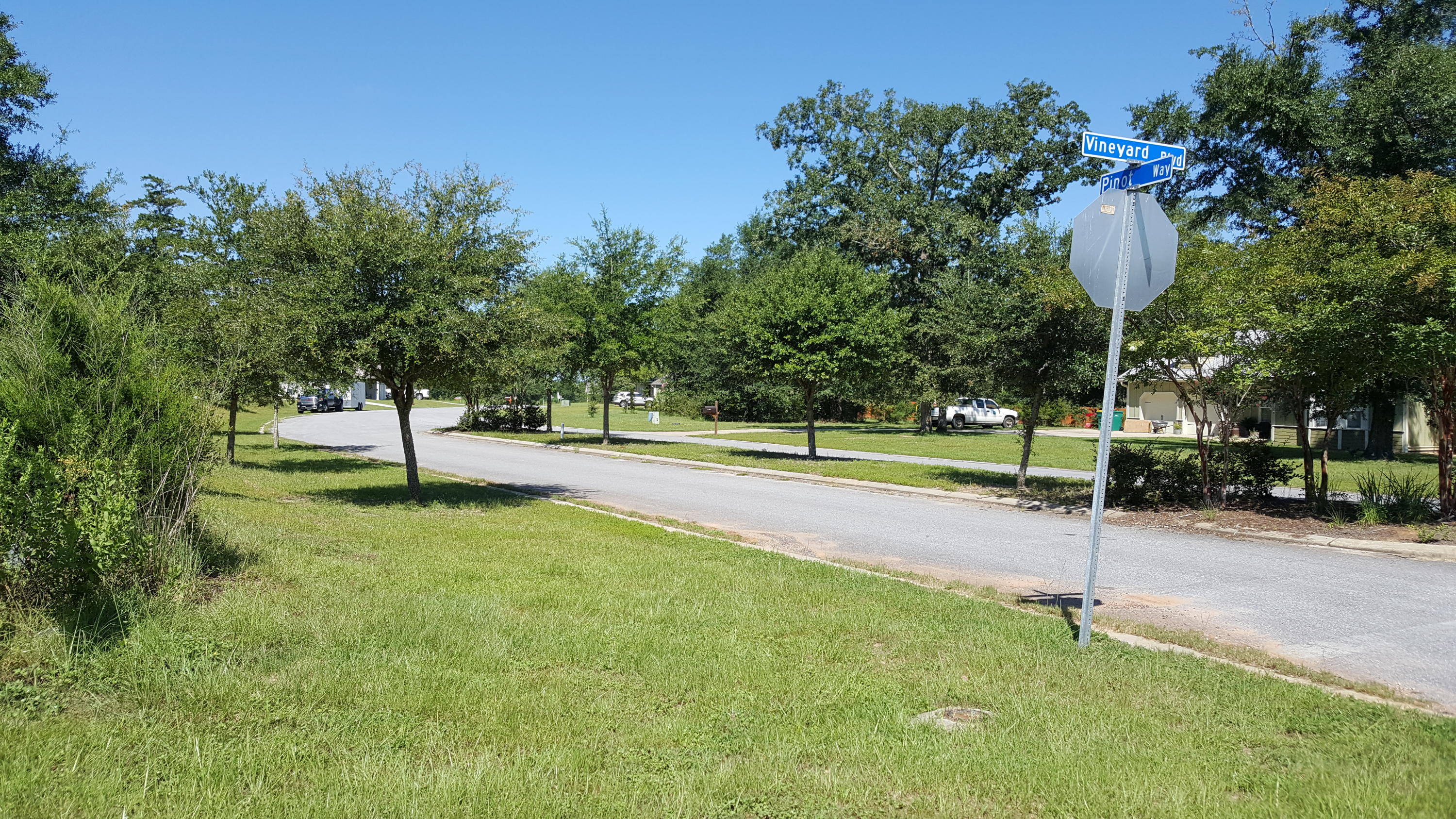 MAJESTIC OAKS VINEYARD - Land