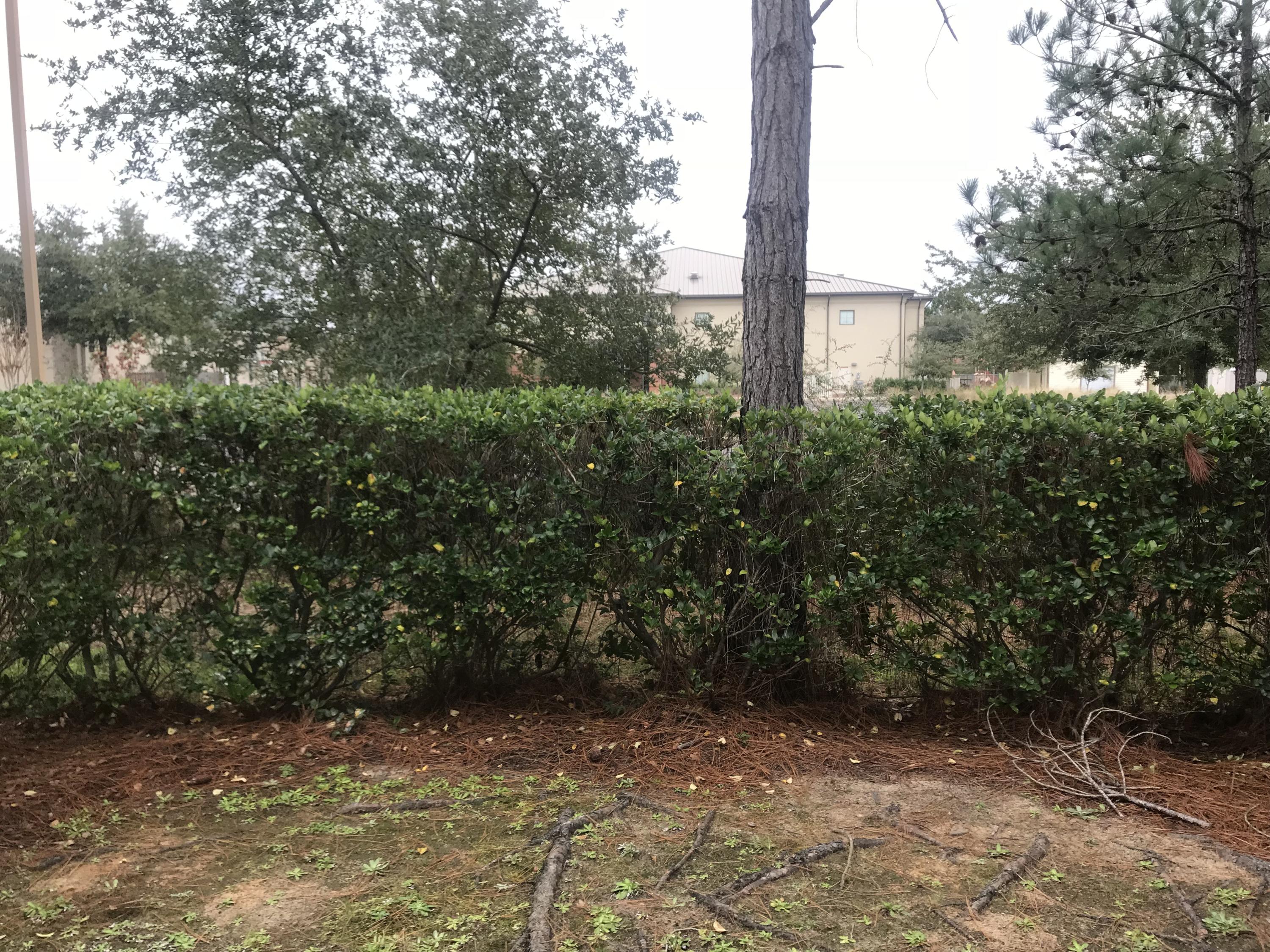 SOUTH HAVEN TOWNHOMES - Residential