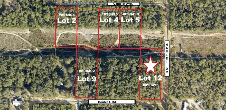 Apx. 1.25 acre lot in growing Mossy Head area of Defuniak Springs. Suitable for new construction or manufactured homes. There are five lots under this parcel ID (see MLS #898491 for all lots). If sold individually, seller will have them split out through Walton County Property Appraiser. This area has been platted, so should have no issue with the split.
