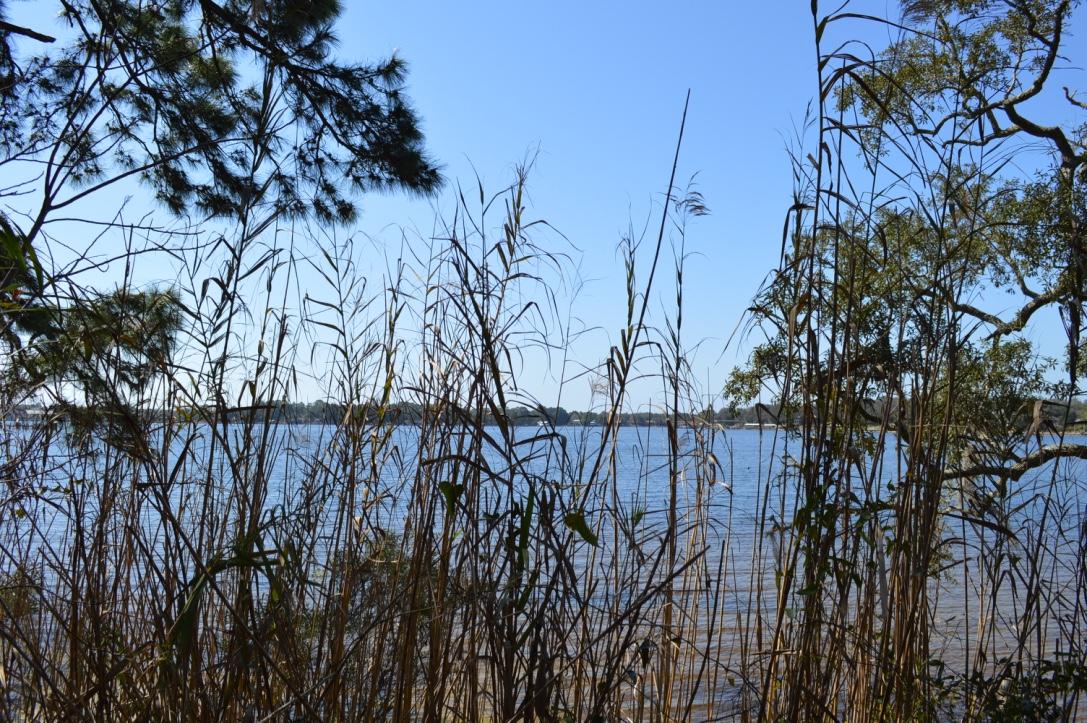 WOODLAND SHORES - Land