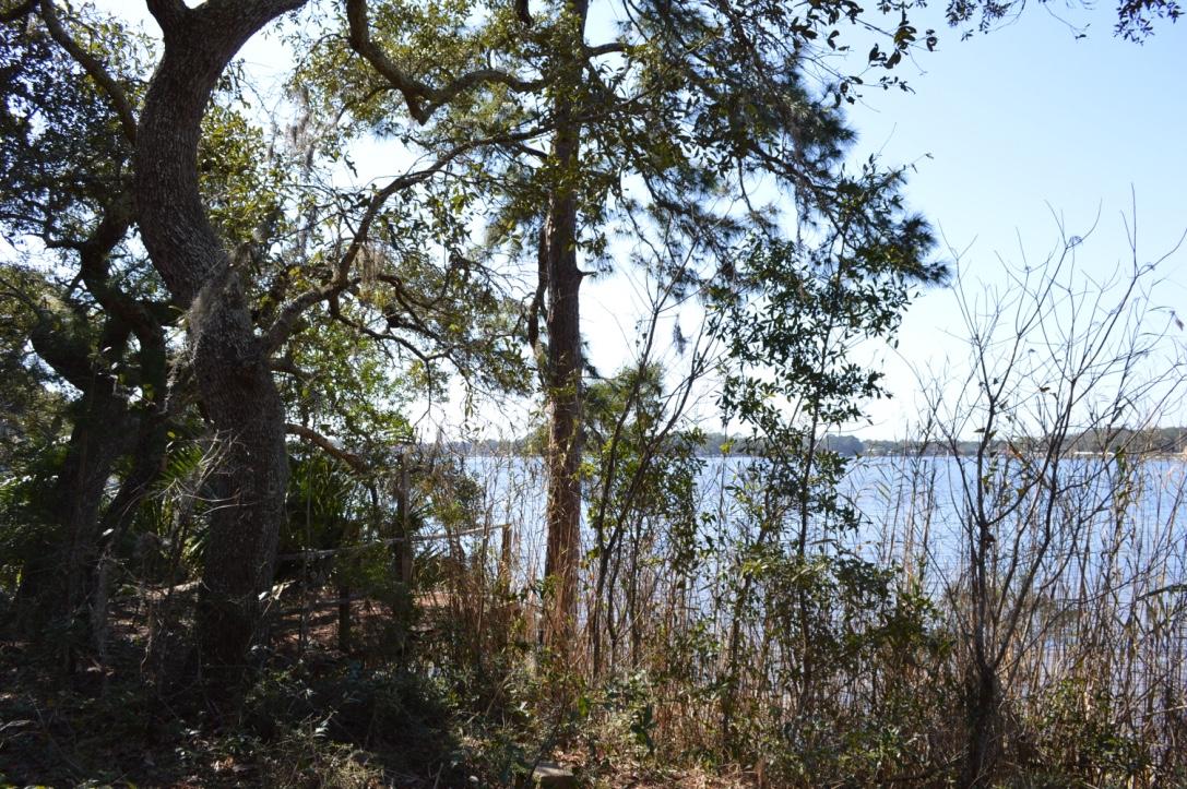 WOODLAND SHORES - Land