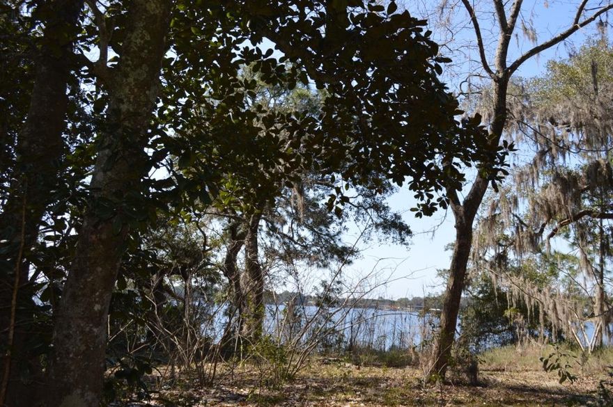 This is an amazing waterfront lot with breathtaking panoramic views. High and dry on Garnier Bayou, this lot is heavily wooded with large oak trees. At the water's edge, a natural shoreline flows out to deep water. An old structure in located on the lot, but is a teardown.